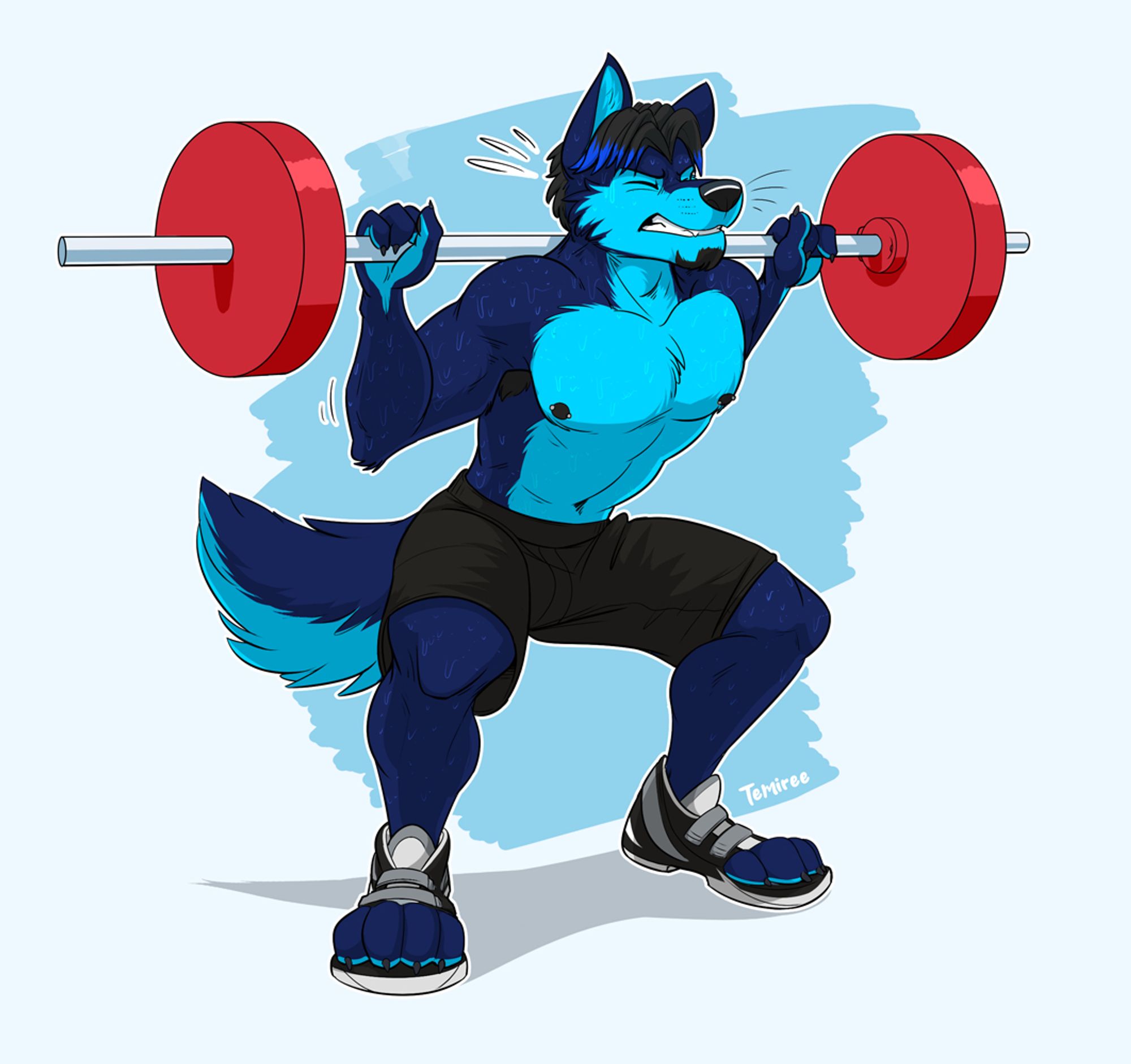 DJ, a blue anthropomorphic wolf with blue-tipped black hair, is grimacing as he does a barbell back squat. He's wearing black exercise shorts and open-toed, black, grey, and white exercise shoes. The barbell he has positioned on his back is shiny with two, large, bright red weights that contrast well with his fur color, as well as the blue and white background.