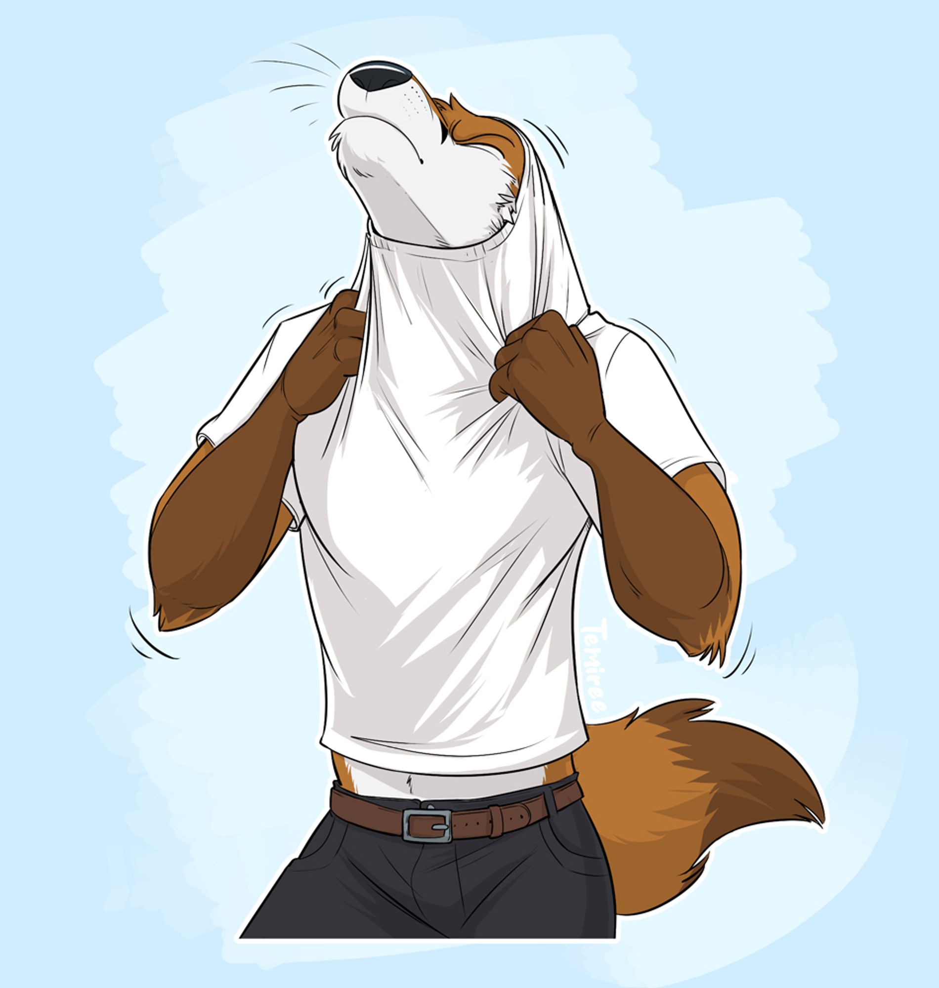 Scott, an anthropomorphic fox, struggles to pull a white t-shirt over his head, with the collar getting stuck just under his jaw and just behind his eyebrows. Little bits of his cheek fluff are poking out, and his belly is slightly visible over his dark denim jeans.