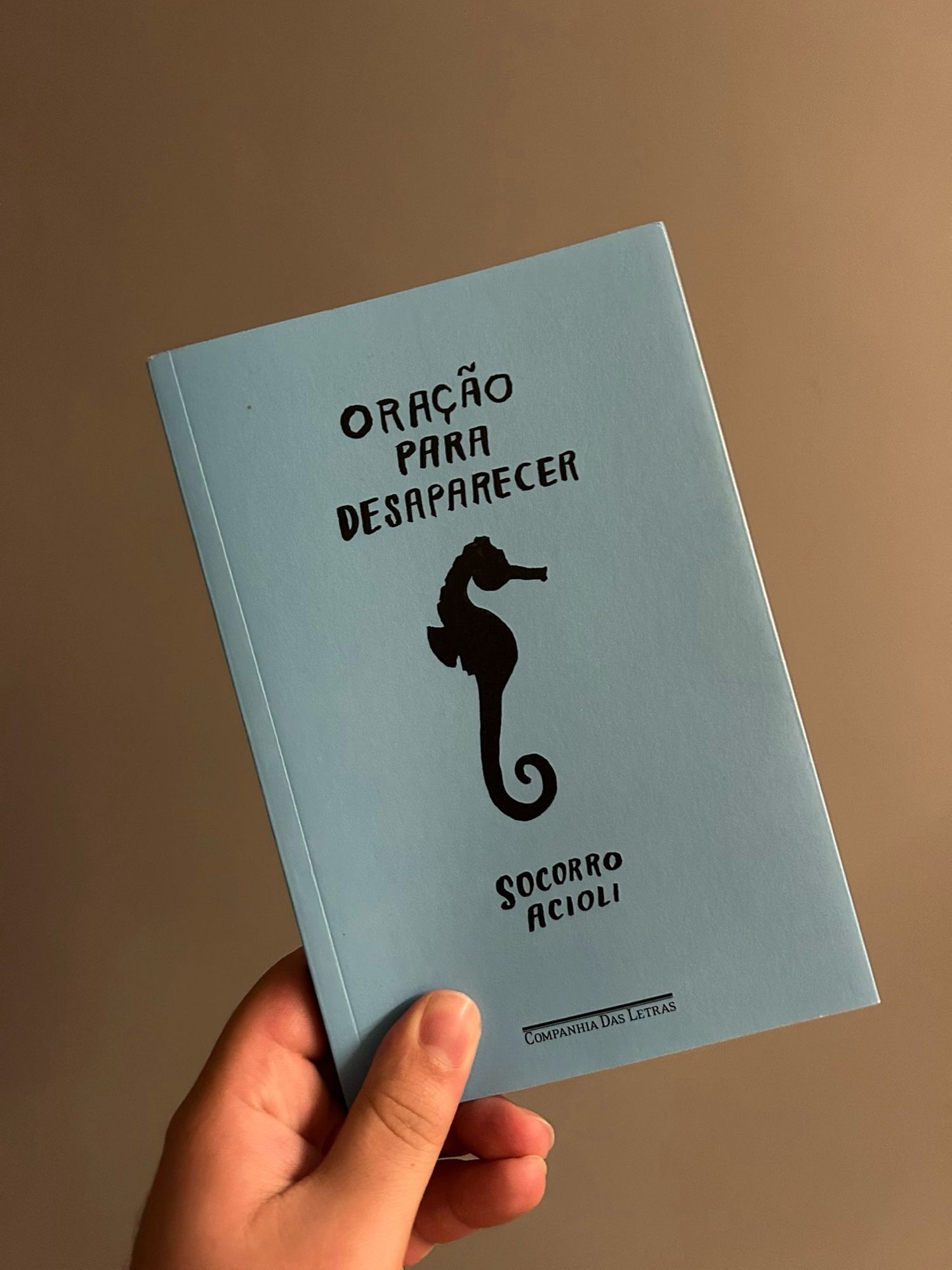 Imagem do livro Oração Para Desaparecer da autora Socorro Acioli