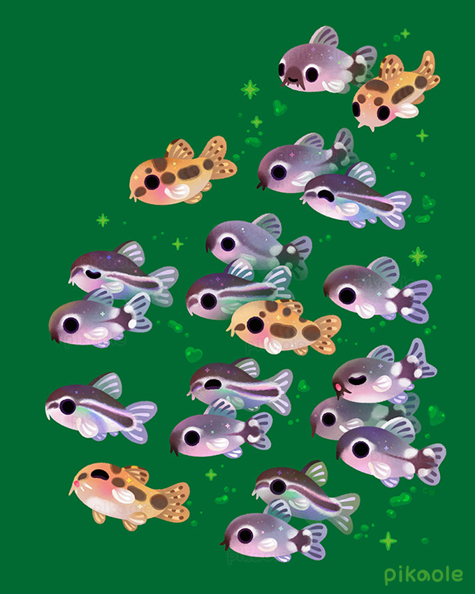 Three species of corydoras swim in a school, creating a peaceful and happy atmosphere.
Pygmy corydoras (corydoras pygmaeus), Salt and Pepper corydoras (corydoras habrosus), and Dwarf corydoras (corydoras hastatus)