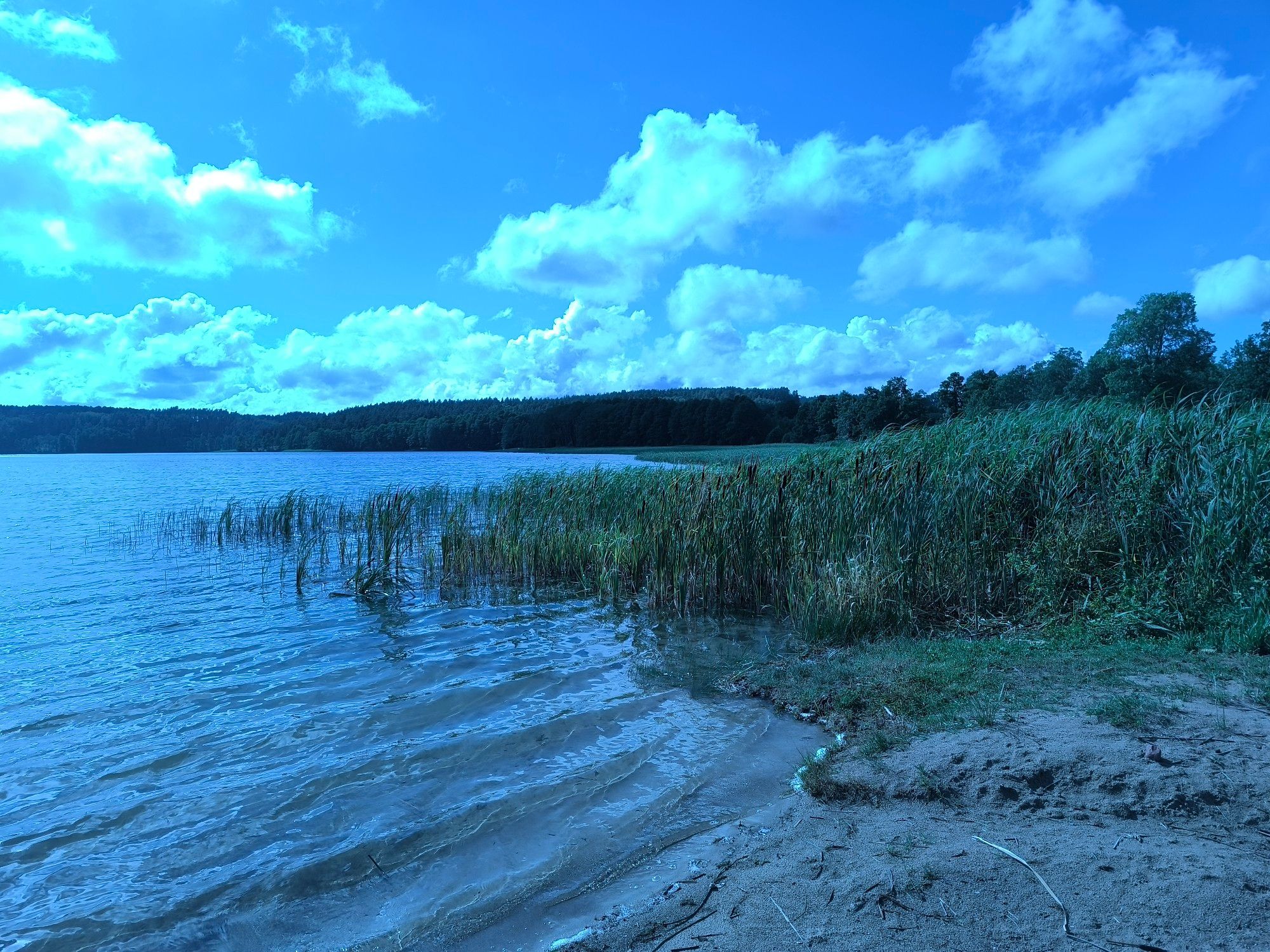 A landscape with a lake, some dirt and vegetation, with trees and clouds on a beautiful blue sky outside, tinted blue. (Taken ~3 months ago)