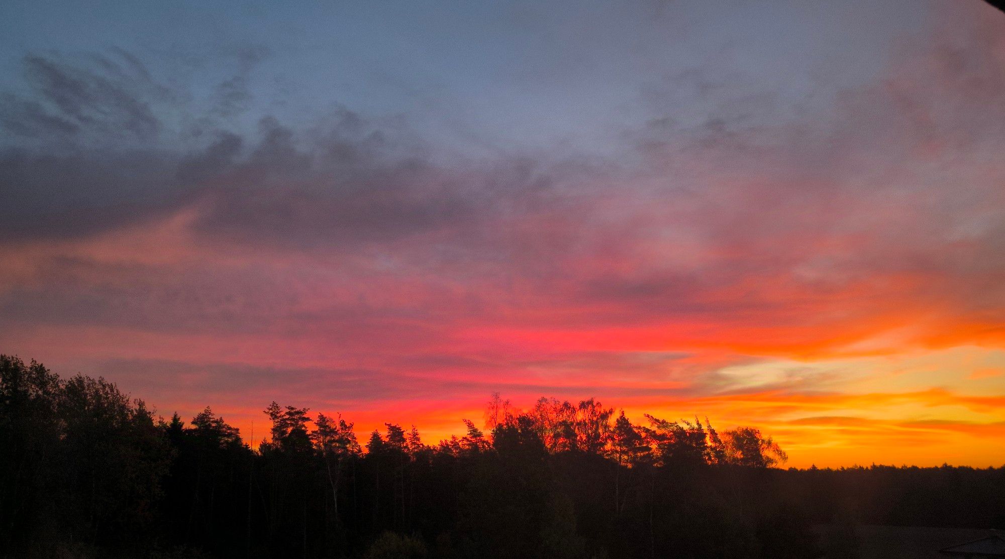 A beautiful blue sunrise, slowly turning red and orange. Some trees are in the way, at the bottom.