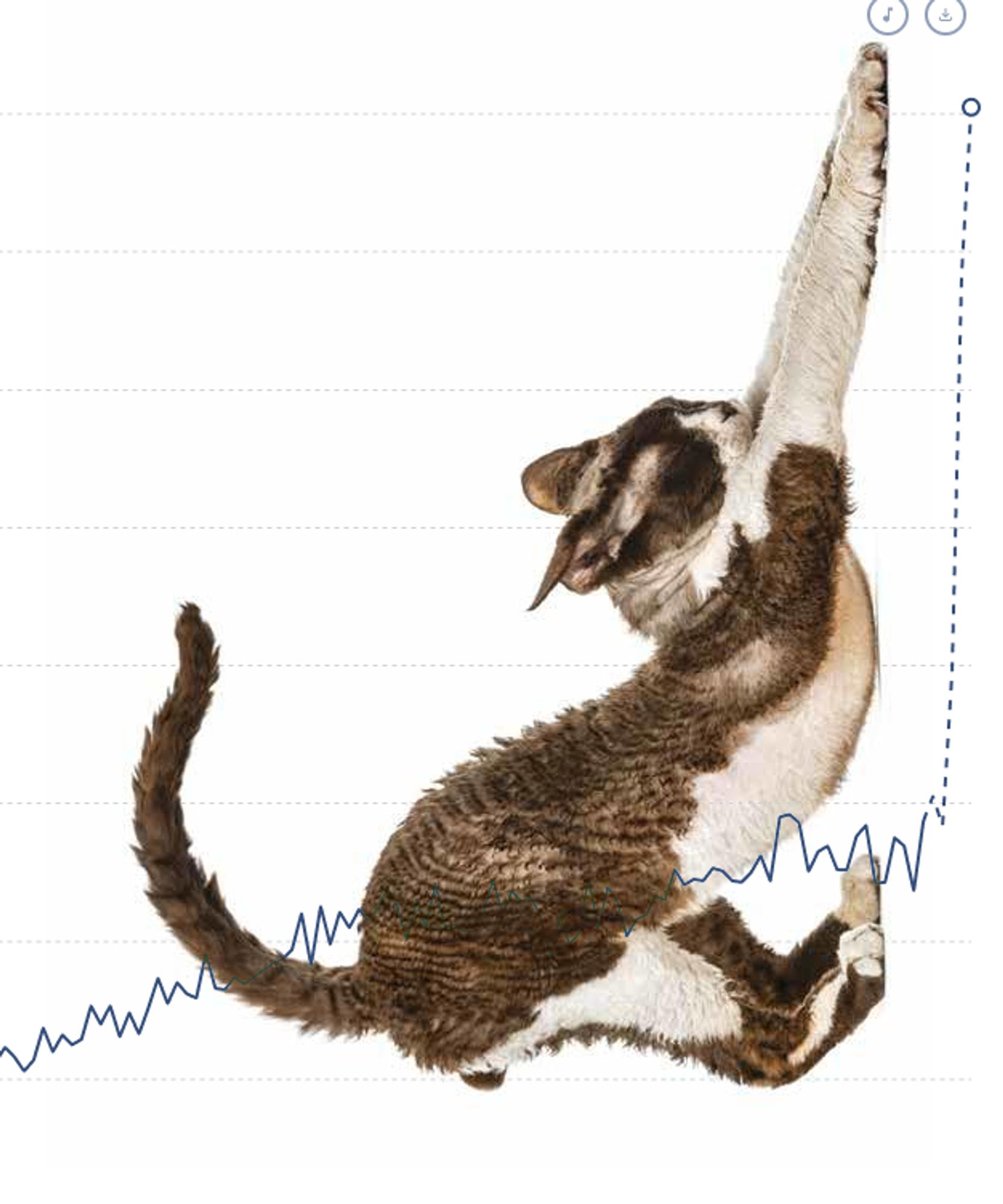 a graph suddenly going vertical with a stretching cat layered on top of it