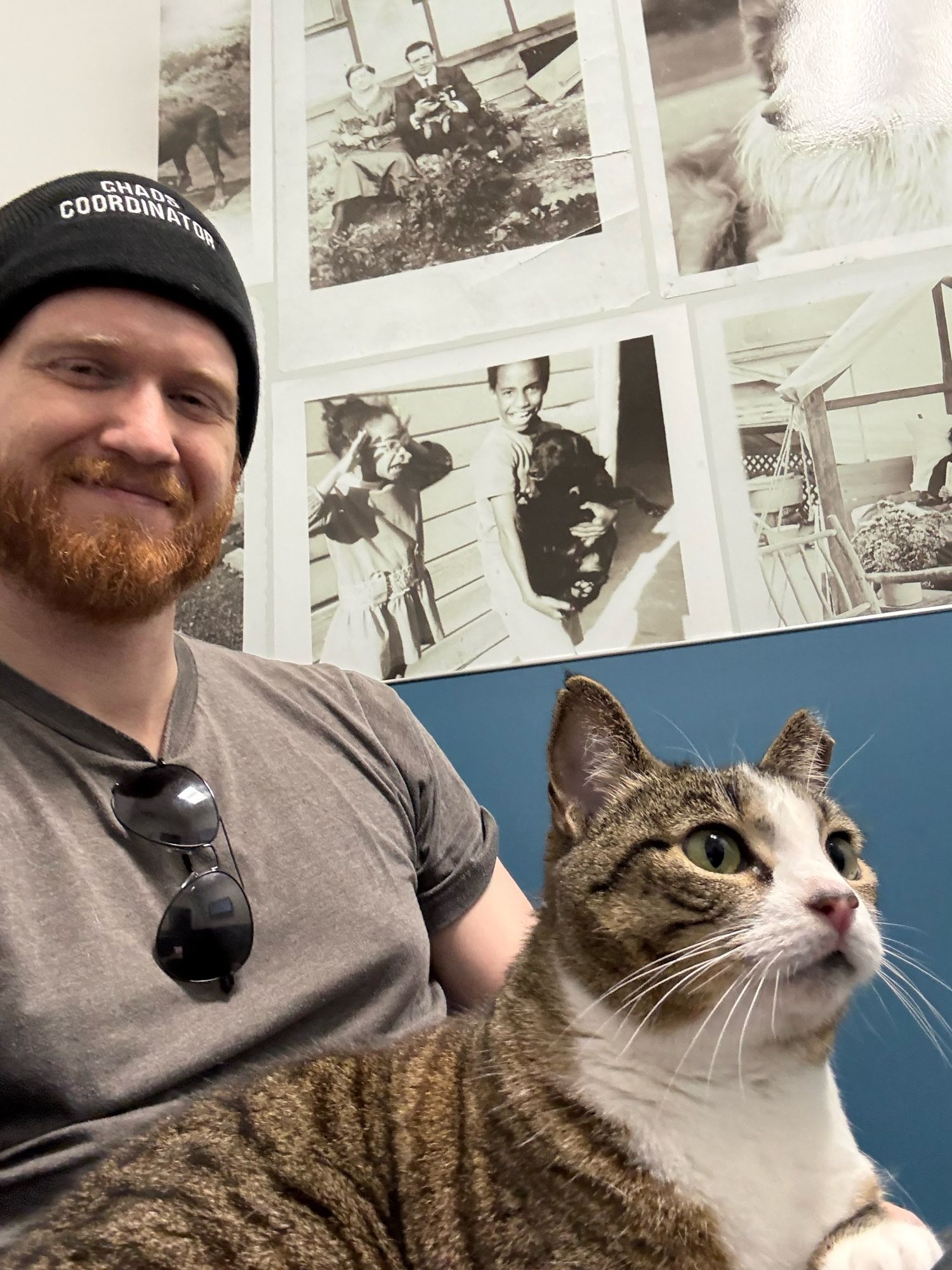 Kit at the vet having a look around