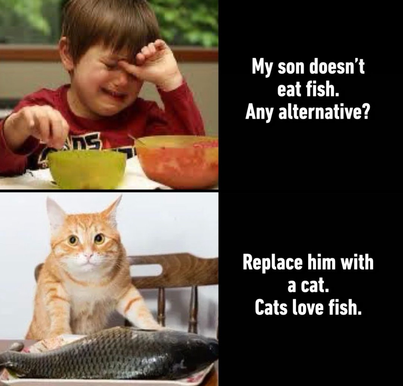 My son doesn’t eat fish. Any alternative?
Replace him with a cat. Cats love fish.