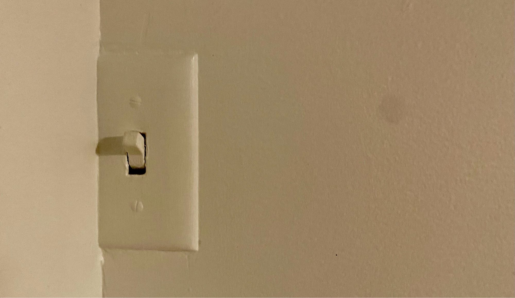 A light switch awkwardly embedded in the wall