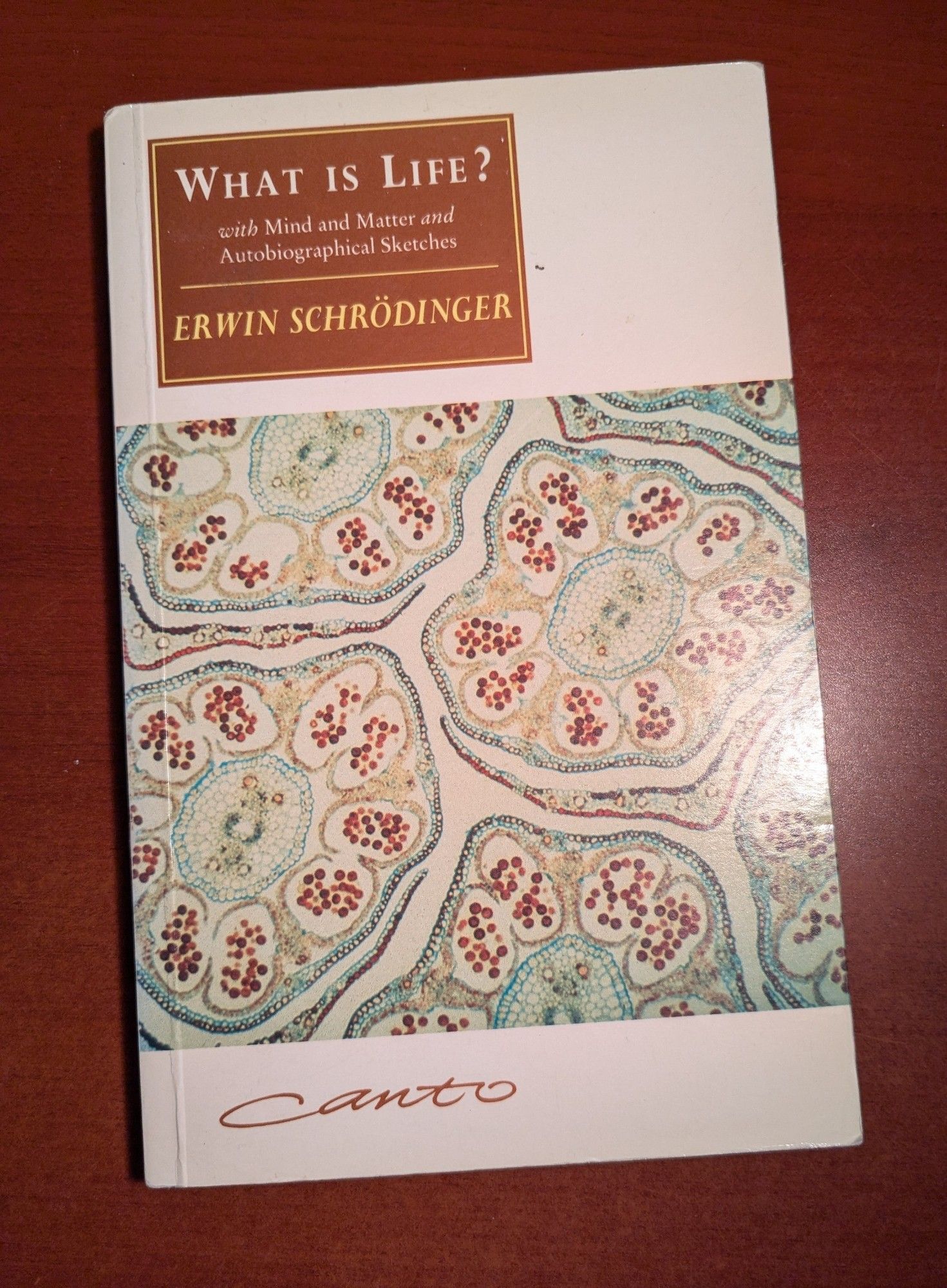 What Is Life?
with Mind and Matter and Autobiographical Sketches
by Erwin Schrödinger
First published 1944/1958, this Cambridge UP edition 1992