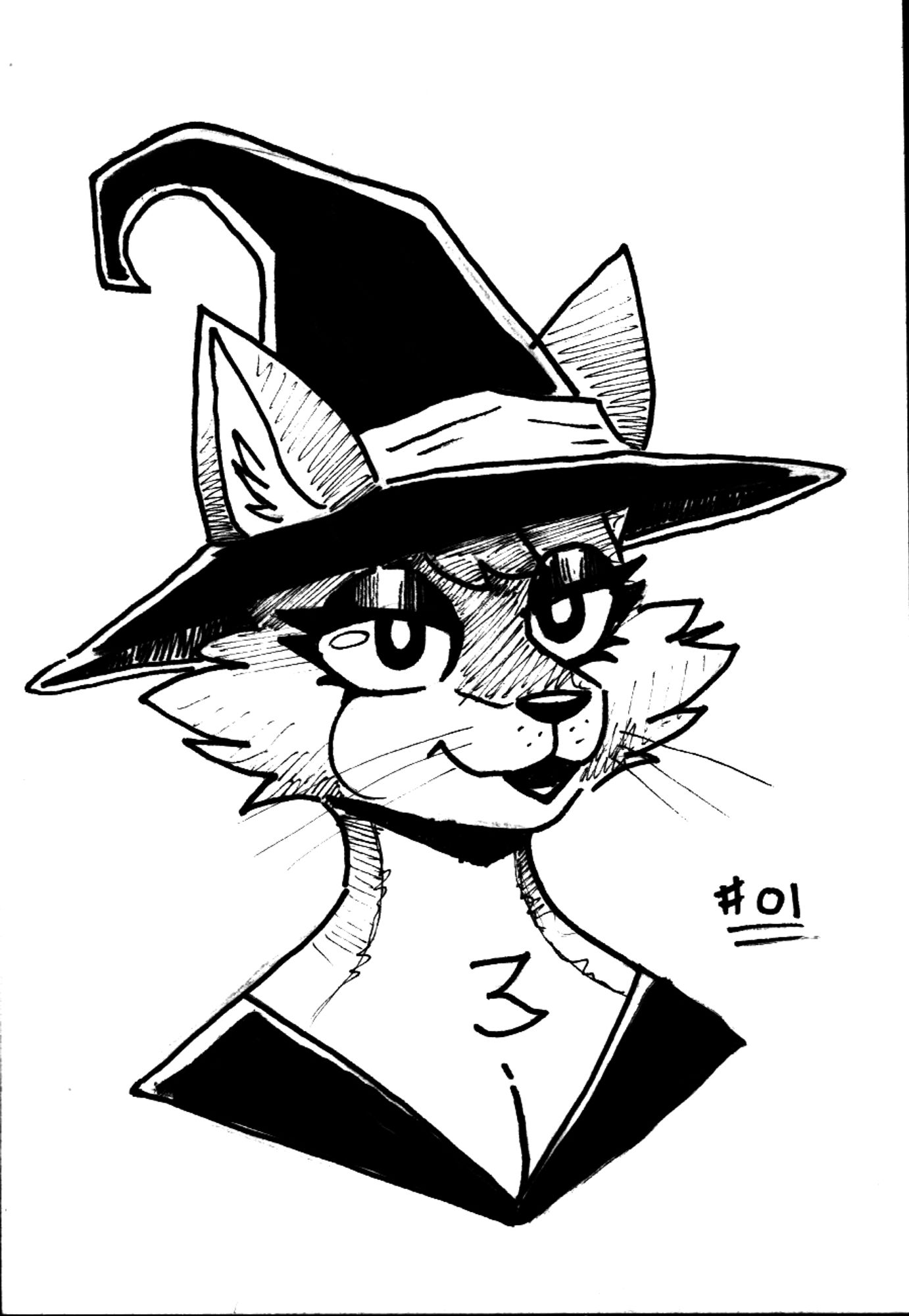 A lady cat dressed up as a witch for Halloween