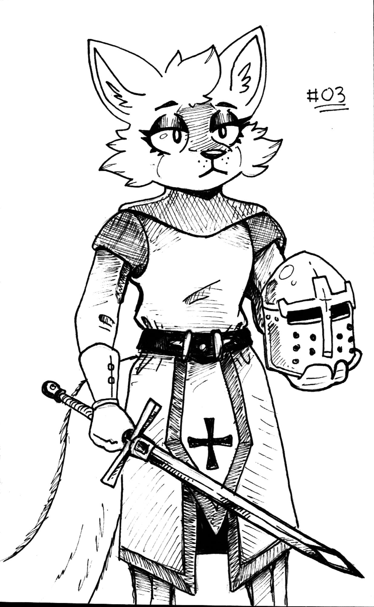 A cute fluffy cat in a knight costume.