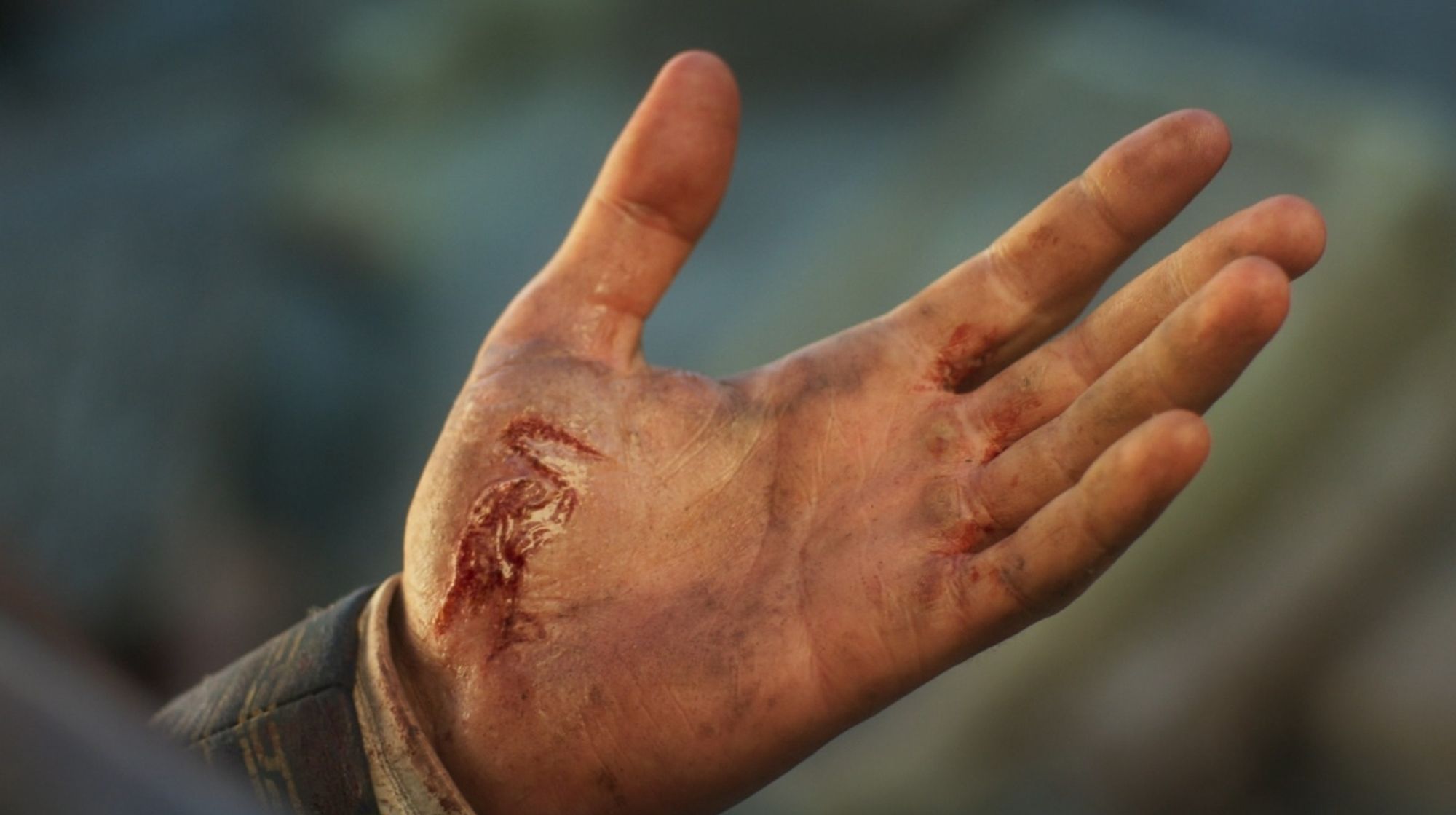 Rand's heron brand that he gets on his left palm in season 2 episode 8