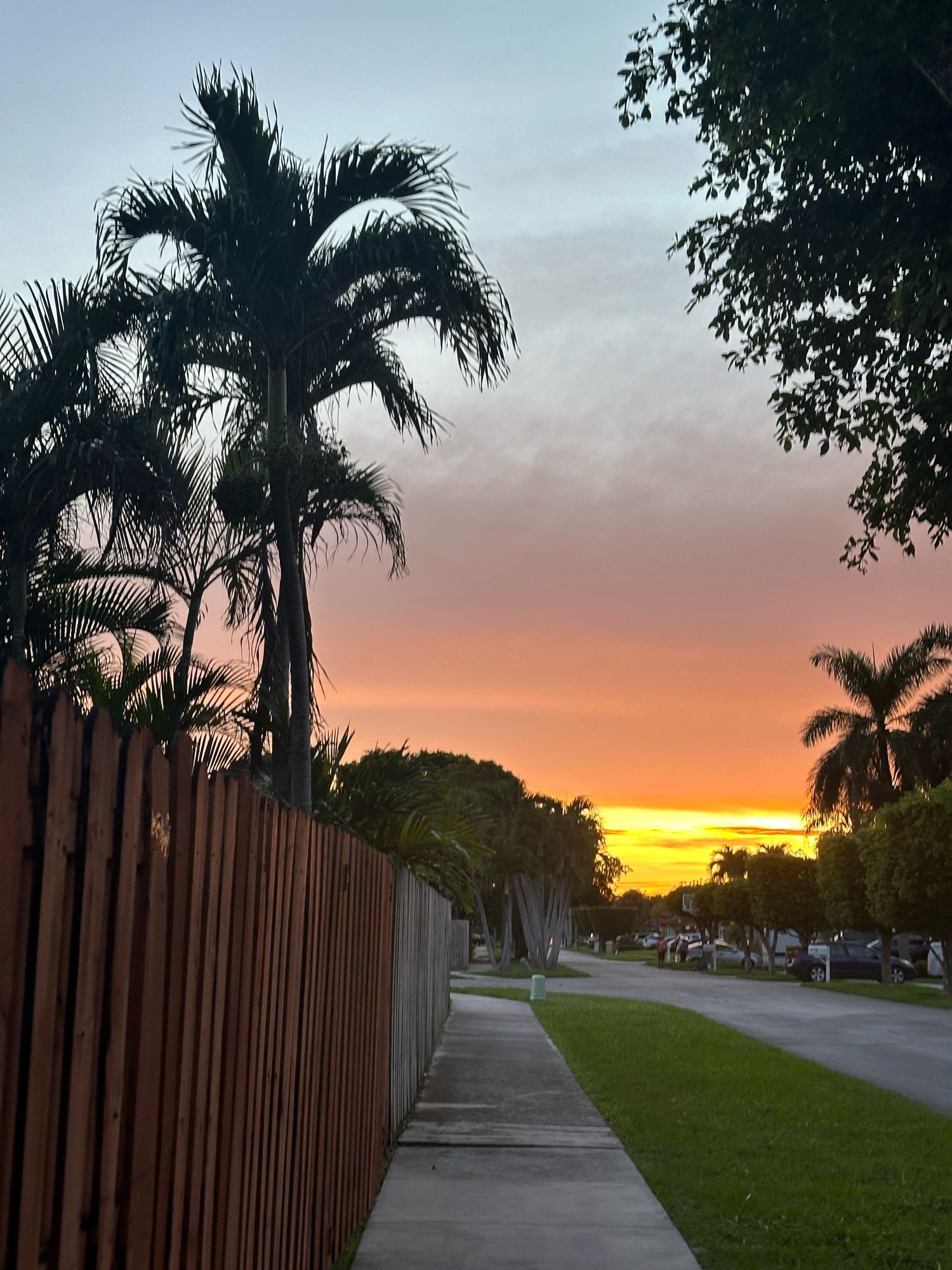 A stunning yellow and orange sunset, grey clouds above. A street in the suburbs with the silhouette of palm trees