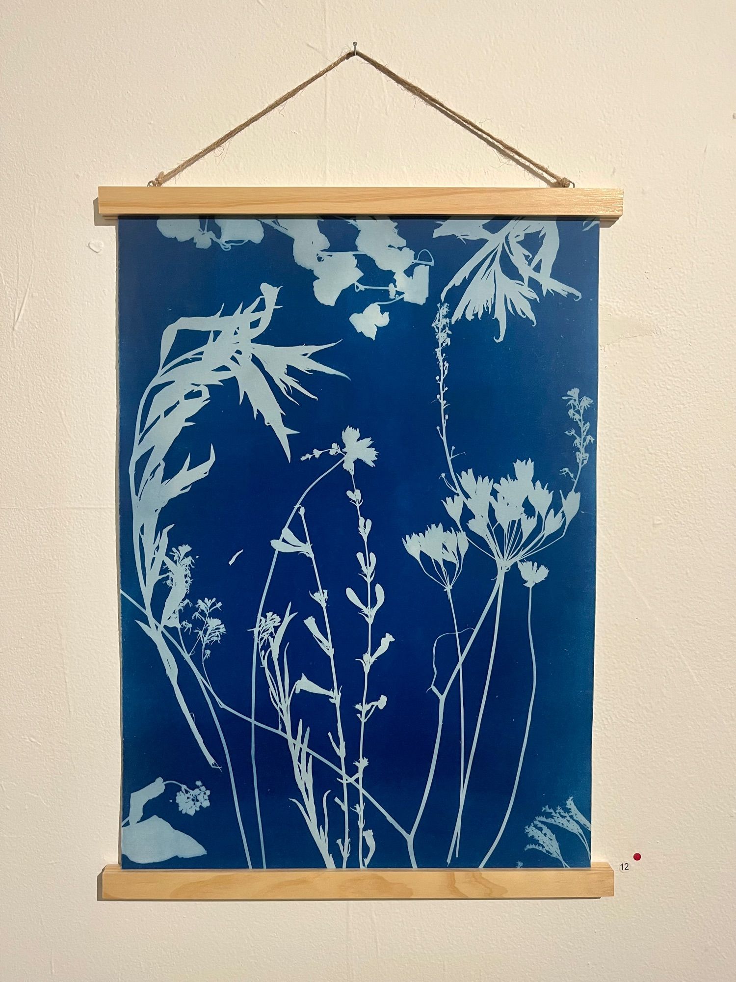 A cyanotype using flora from Butte Creek Canyon