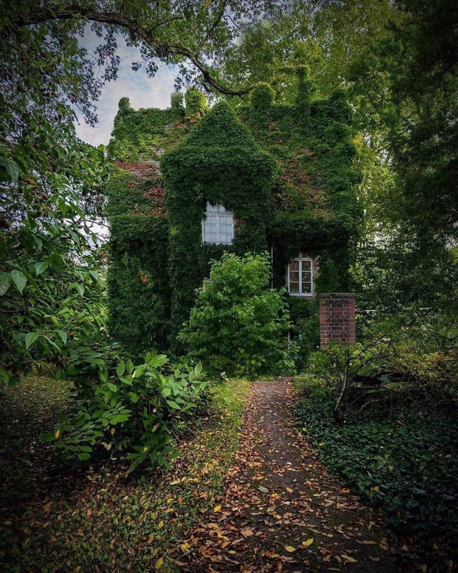 Ein kleines Häuschen im Grünen, völlig bewachsen mit Efeu, ein kleiner Weg führt zum Haus.