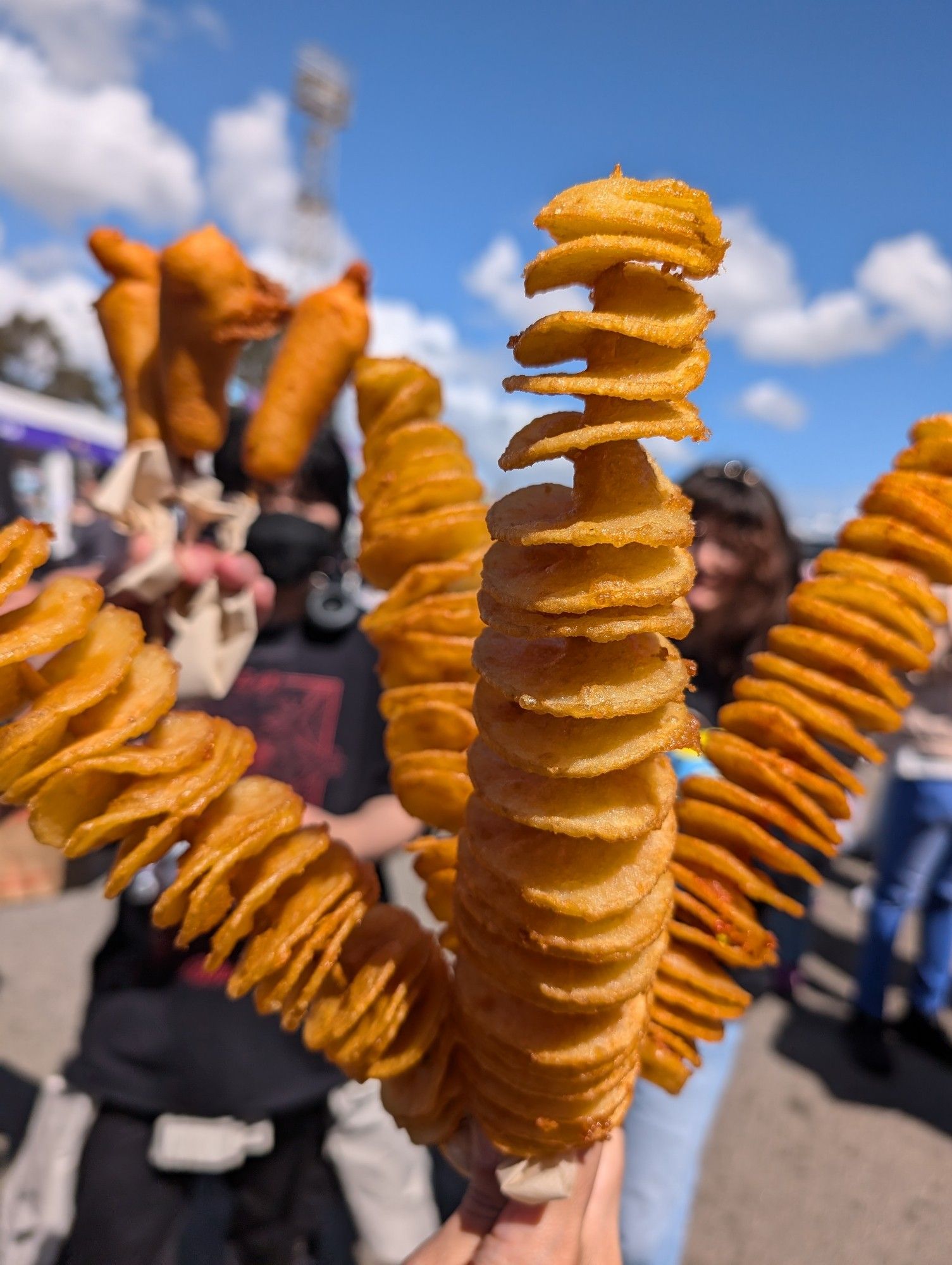 Fried potato sticks