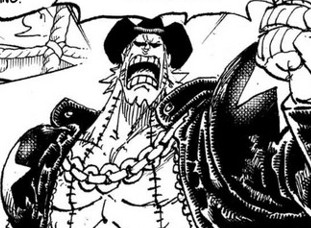 Franky from One Piece in a black jacket and cowboy hat, yelling. 