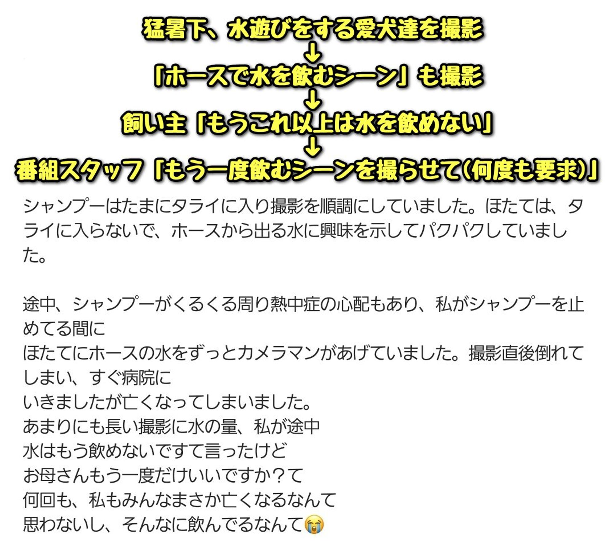 【話題】愛犬家さん、#めざましテレビ の“#きょうのわんこ”コーナーの撮影で愛犬を亡くす ▼飼い主の主張 ・愛犬3匹を飼育 ・8月の猛暑下、水遊びをする愛犬らを撮影 ・小型犬(ミニチュアダックスフント)がホースで水を飲むシーンも撮影 ・飼い主が「もうこれ以上水は飲めない」と話すも、