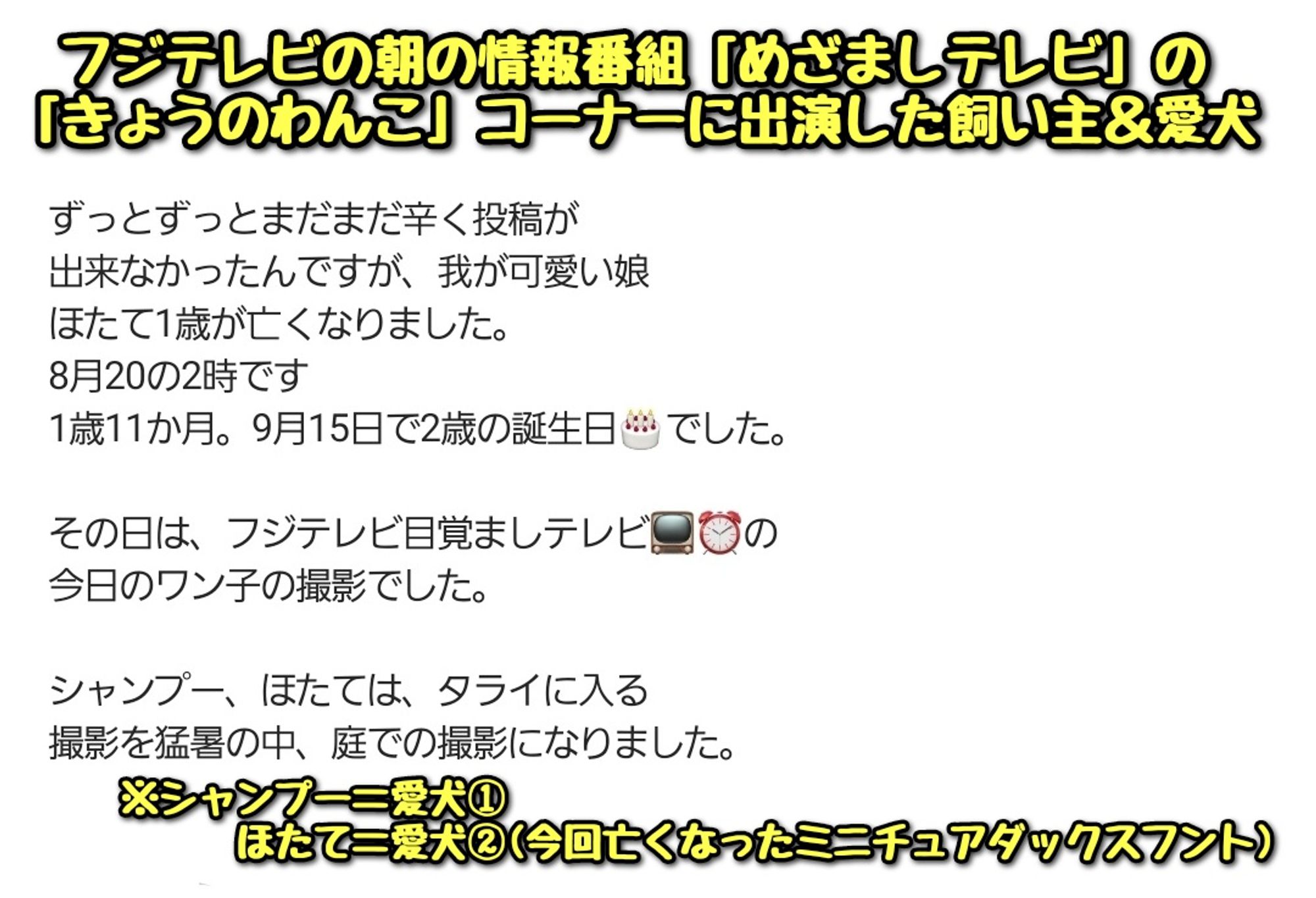 【話題】愛犬家さん、#めざましテレビ の“#きょうのわんこ”コーナーの撮影で愛犬を亡くす ▼飼い主の主張 ・愛犬3匹を飼育 ・8月の猛暑下、水遊びをする愛犬らを撮影 ・小型犬(ミニチュアダックスフント)がホースで水を飲むシーンも撮影 ・飼い主が「もうこれ以上水は飲めない」と話すも、