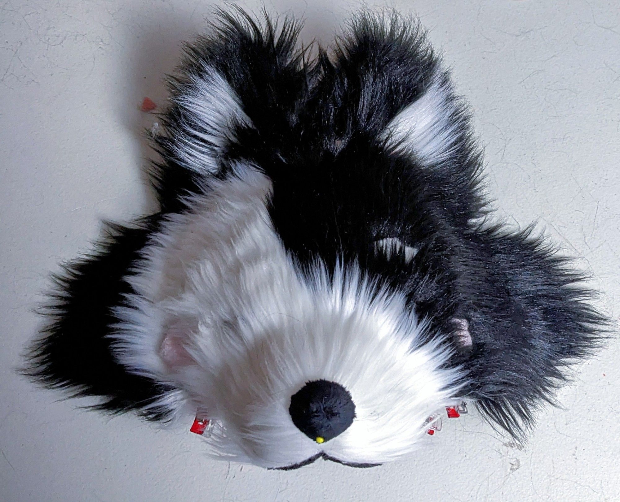 A very fluffy unshaven black and white border collie half mask on a white table