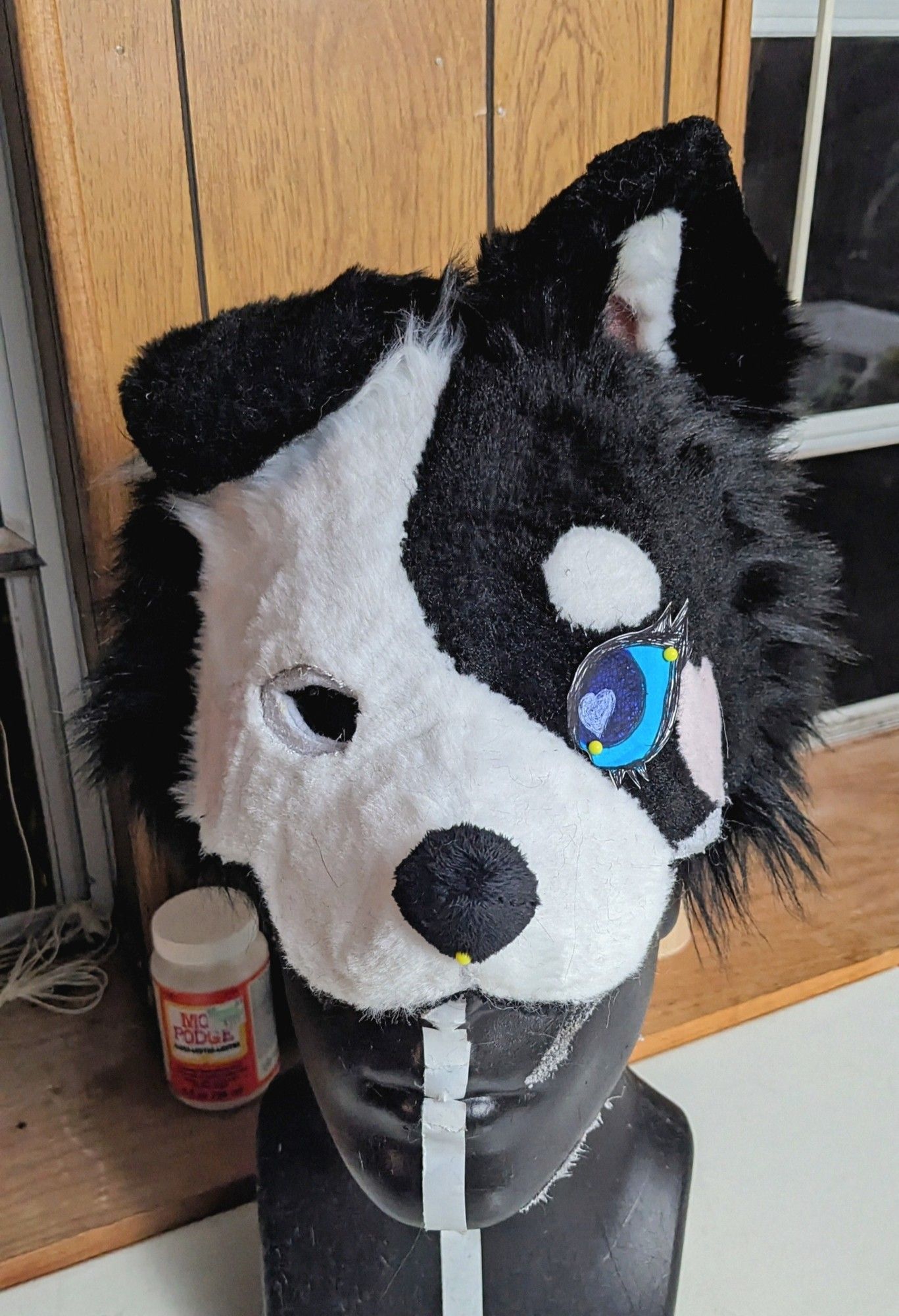 An asymmetrical black and white border collie half mask work in progress. She has a rough shave and one blue paper mock up eye pinned to her