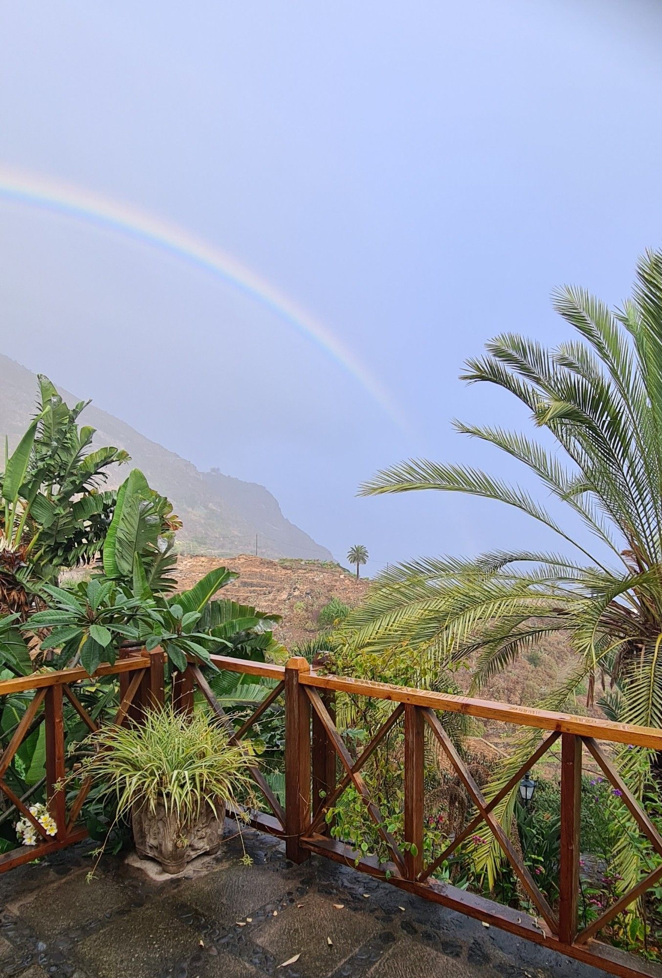 Blick von einer regenfeuchten Terrasse neben Palmen auf einen Regenbogen, der in ein Nebelmeer versinkt