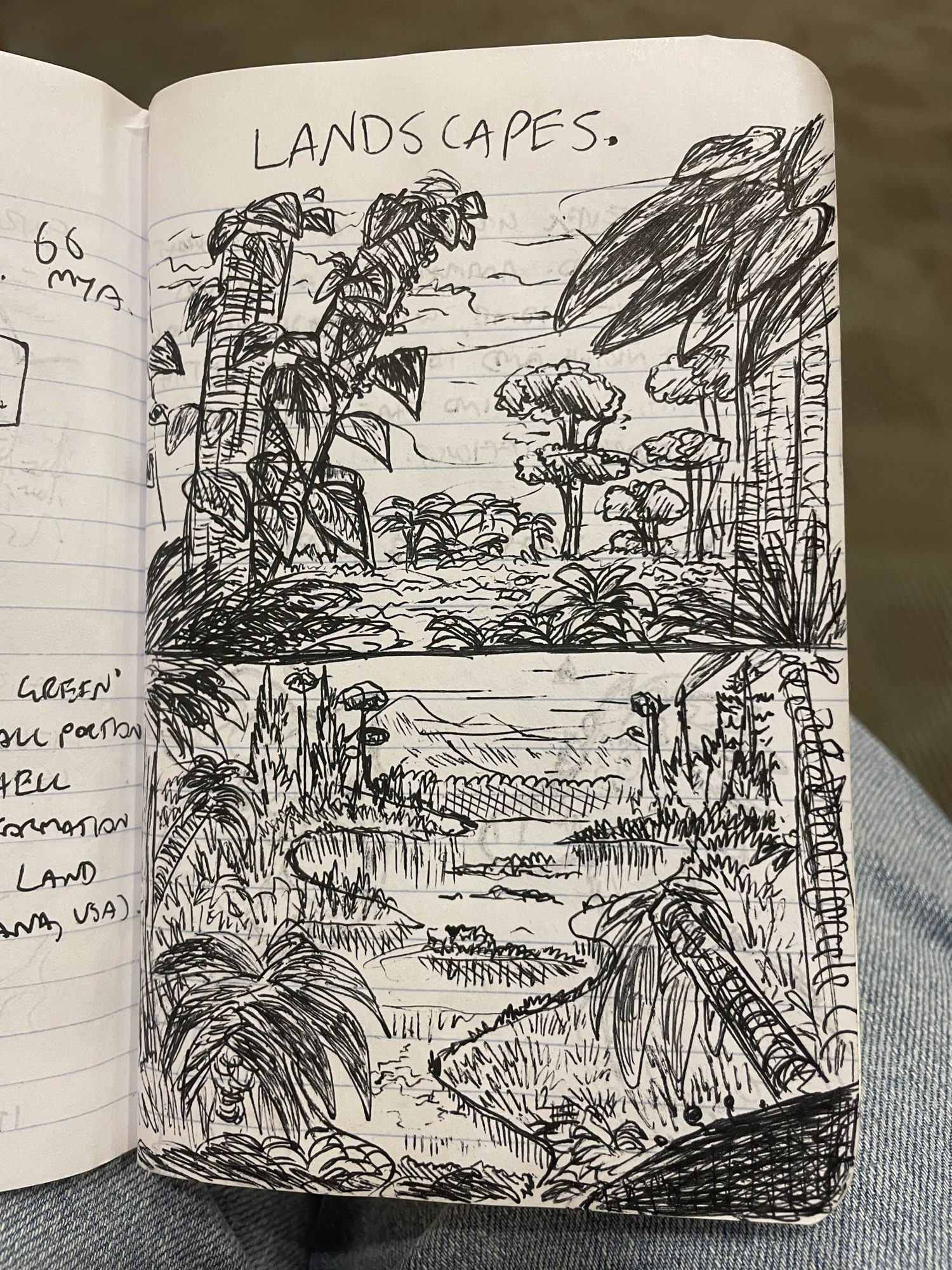 A ballpoint pen drawing of two Cretaceous period landscapes. The first depicts a forest with conifers and laurel trees, and the one below it depicts a floodplain with cycads and palms.