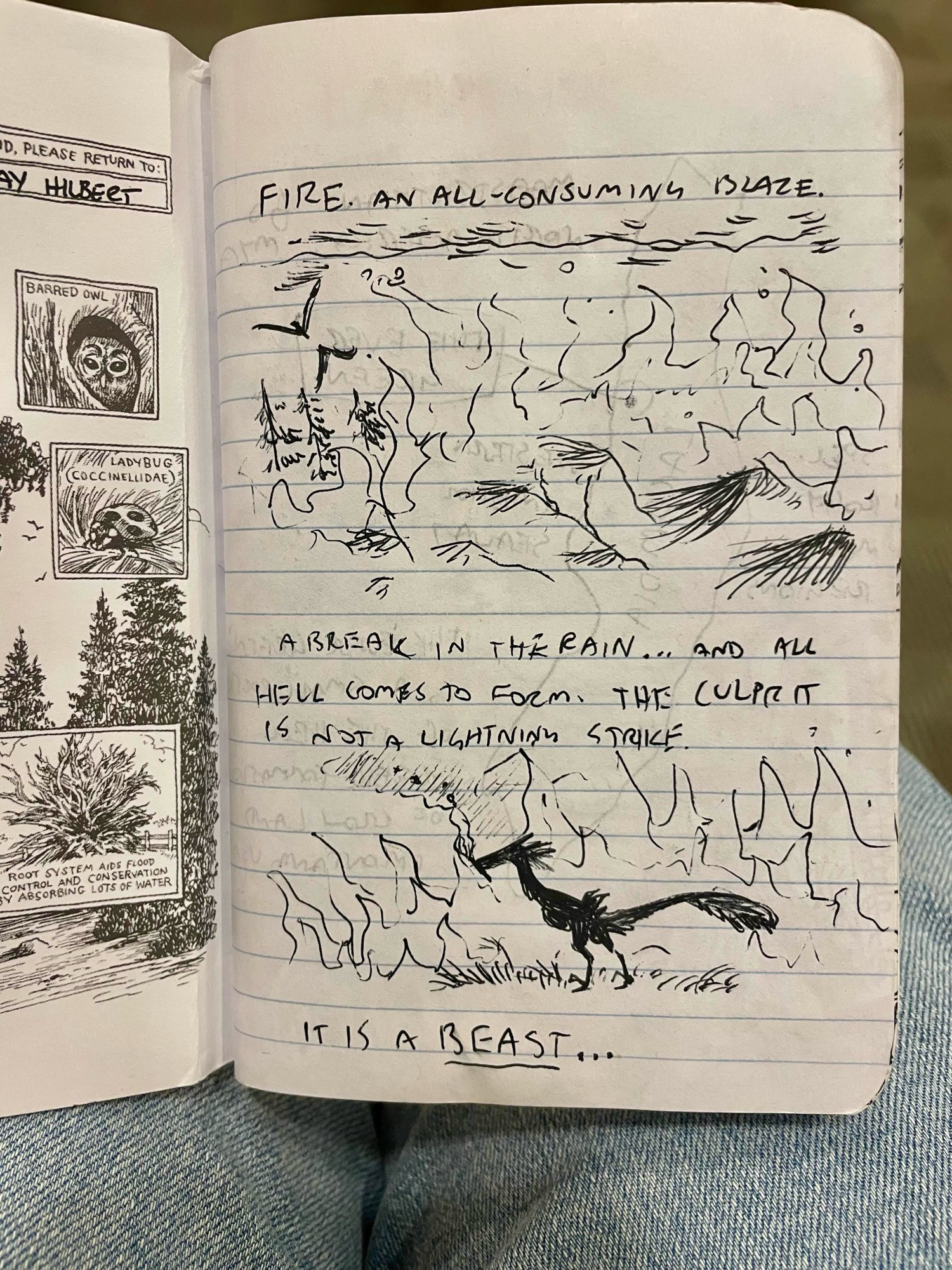 A ballpoint pen doodle of a wildfire overtaking a forest. The silhouette of a dromaeosaurine raptor holding a fiery stick is below it. The text reads: "Fire. An all-consuming blaze. A break in the rain, and all hell comes to form. The culprit is not a lightning strike... it is a beast..."