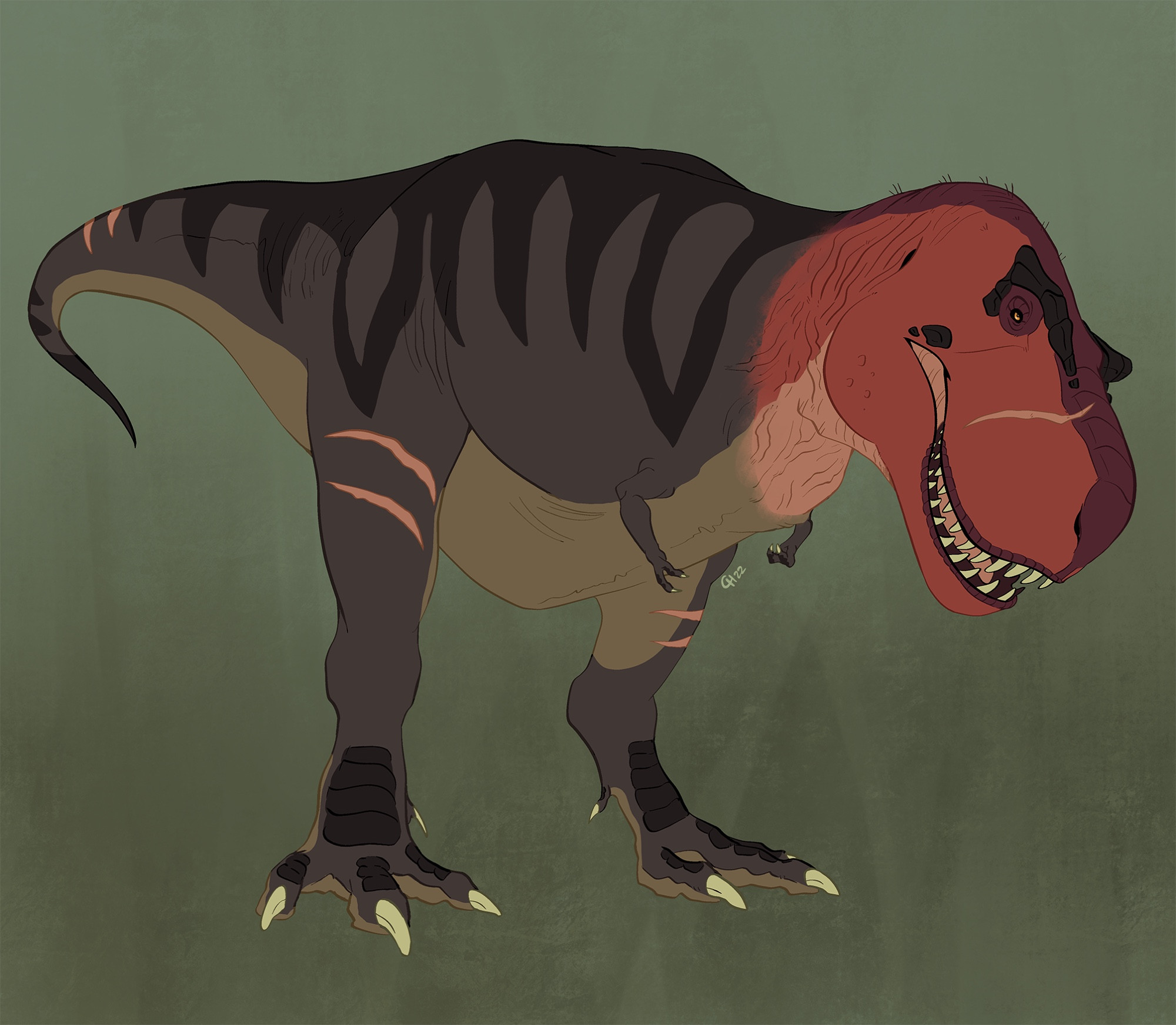 Zal, an adult Tyrannosaurus, standing to face the camera 3/4 view. She has a distinctive red head with black brow ridges, brown striped skin on her body, and scars all over.