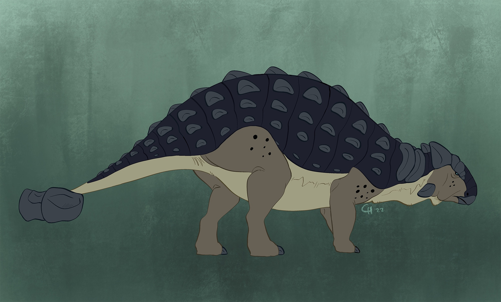 Kupta, an elderly Ankylosaurus, standing away from the camera. She has a blue carapace and cream underbelly with grey osteoderms and horns. Her eyes are beady and blue.