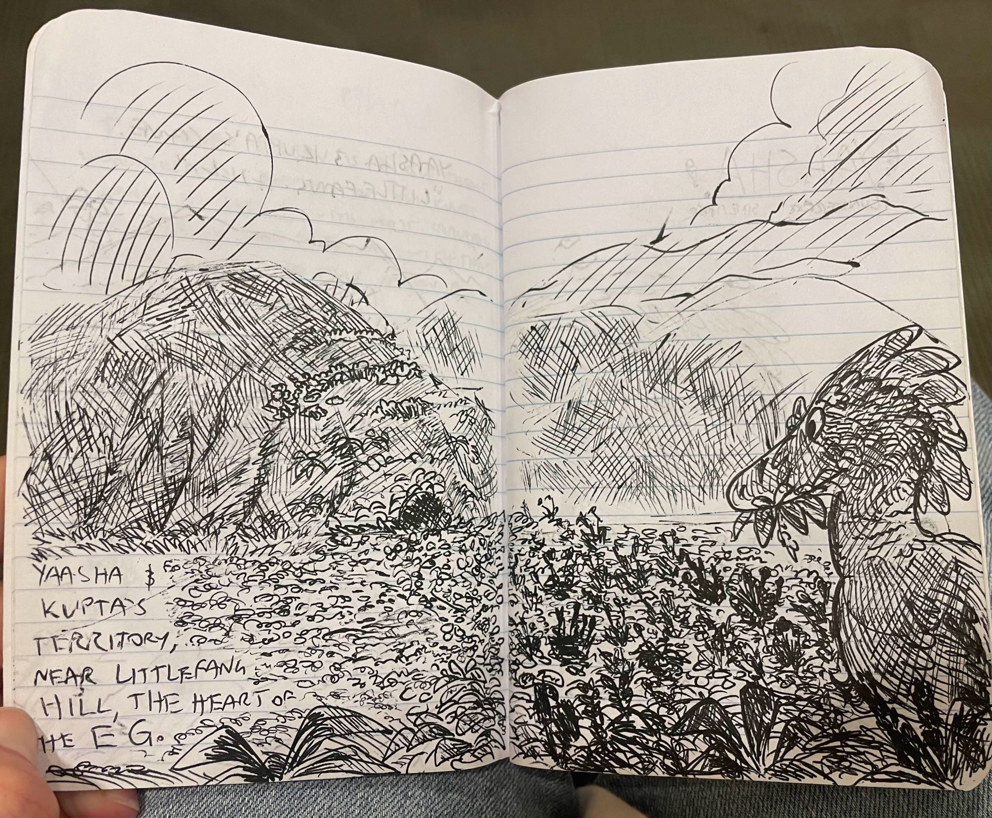 A ballpoint pen drawing spanning two pages. It depicts a dromaeosaurine raptor, Yaasha, holding ferns in her mouth. She looks out toward a fern prairie with a hill in the distance. The text reads: "Yaasha and Kupta's territory, near Littlefang Hill, the Heart of the EG (Ever Green)."