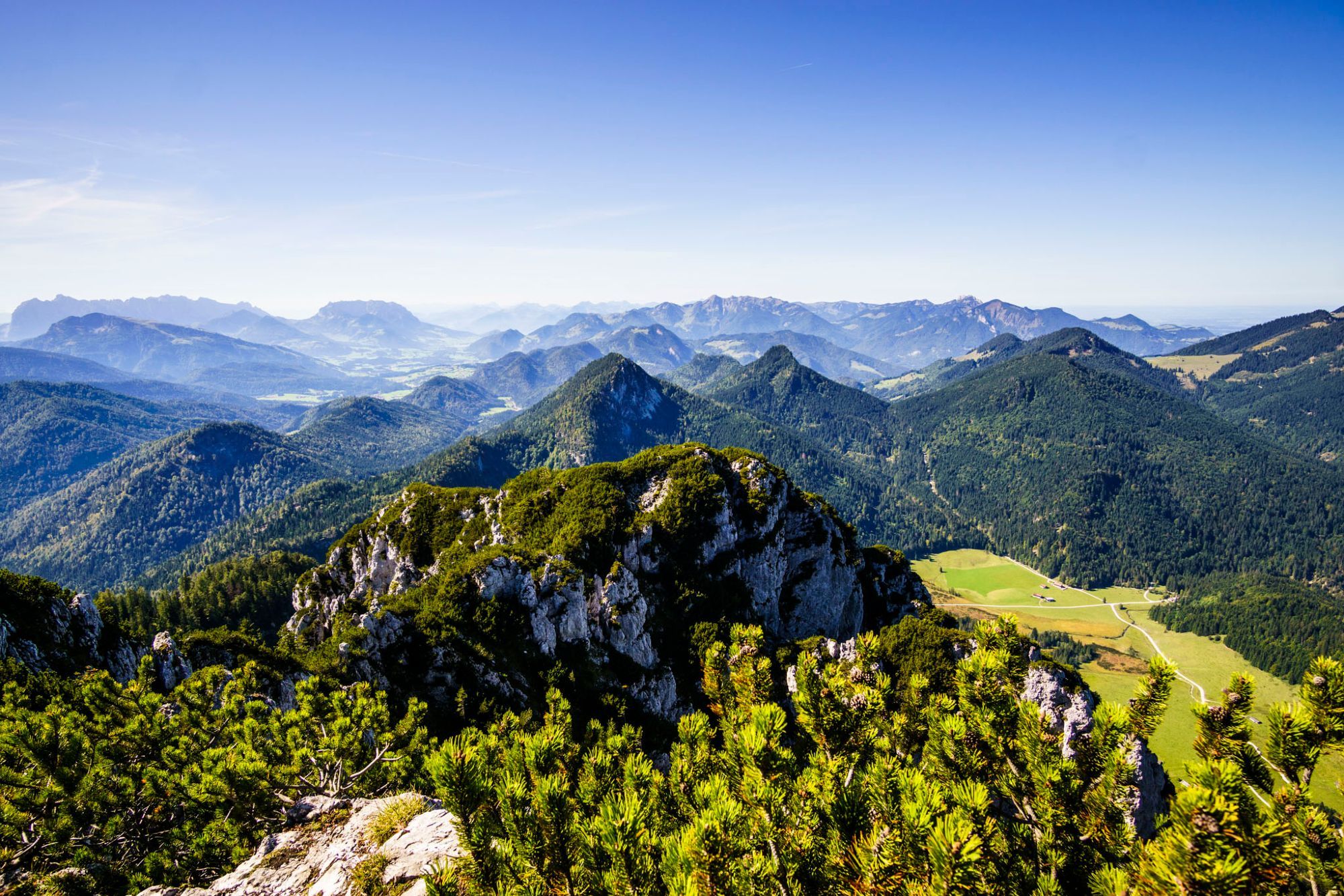 Blick von einem mit Latschen bewachsenen Berggipfel auf viele andere Gipfel. Ein sonniger Sommertag.