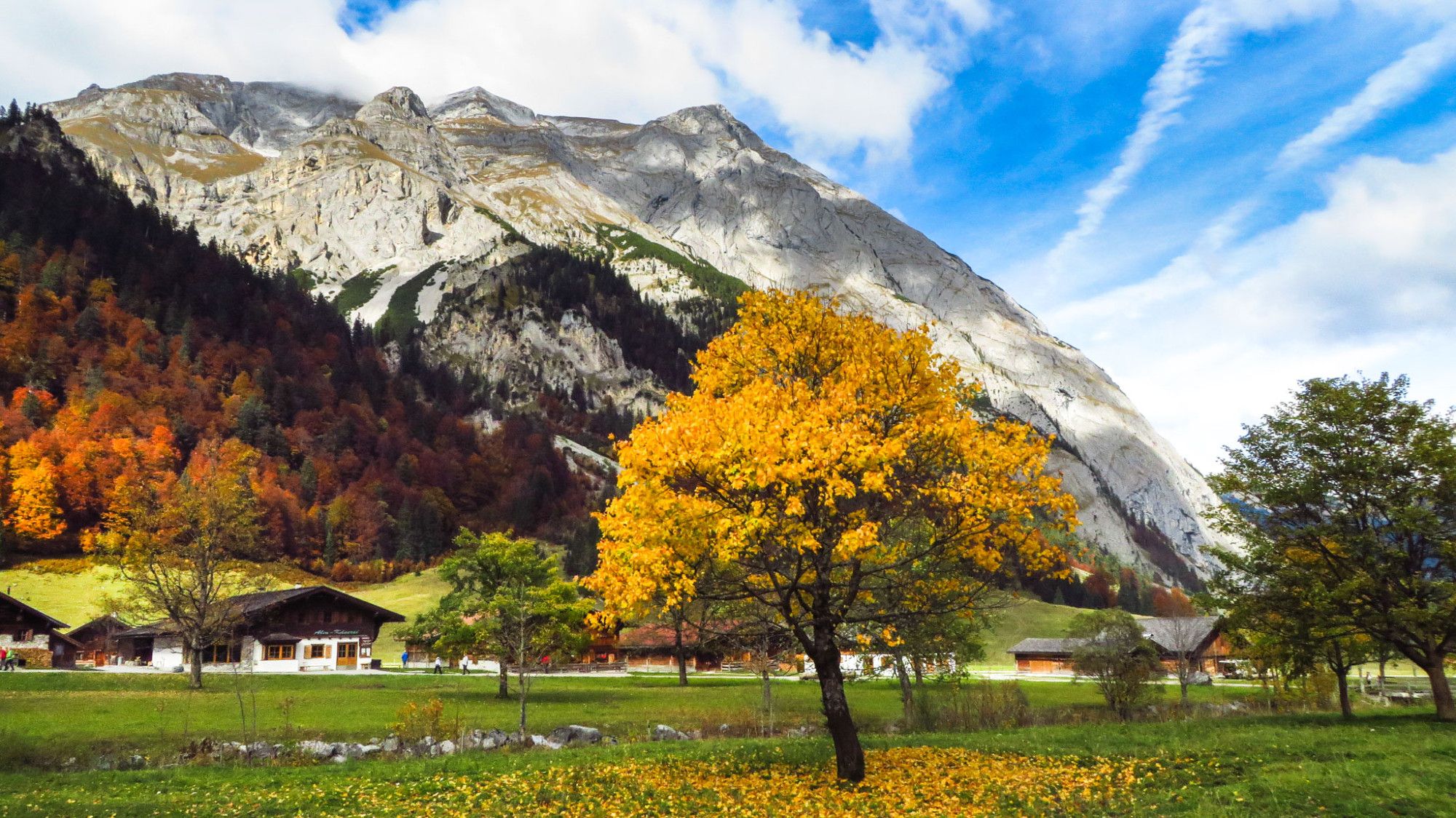 Ein Baum, dessen Blätter alle gelb verfärbt sind, steht auf einer Wiese. Im Bildhintergrund ein Felsberg, davor eine Almsiedlung und ein Berghang, an dem in verschiedenen Farben verfärbte Bäume stehen.