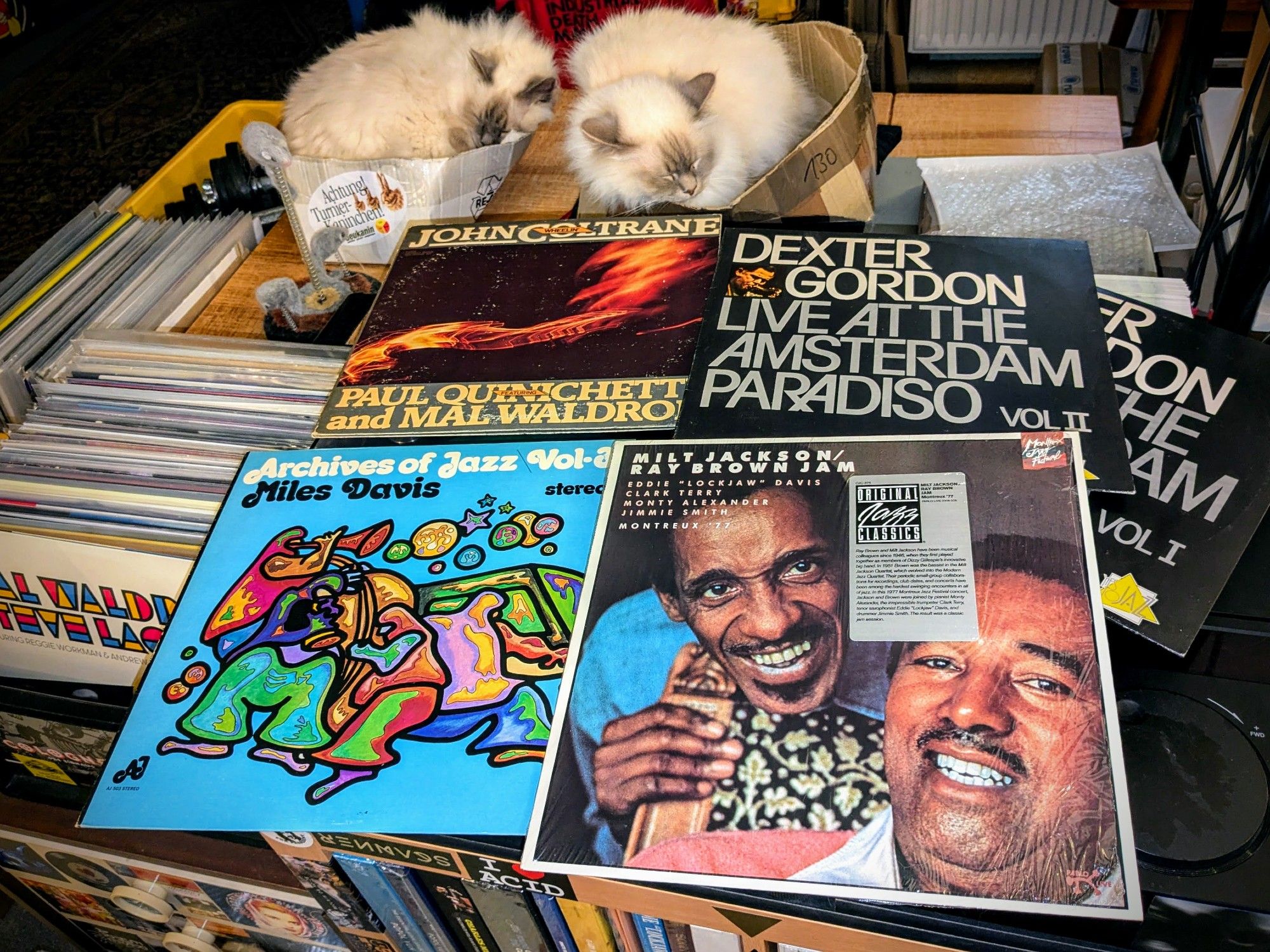 five vinyl records arranged above the technics, with holy birman cats Emil & Milo in their boxes on the packing table ibehind them, and two vinyl record boxes to the left: 
John Coltrane Featuring Paul Quinichette And Mal Waldron - Wheelin' (1977 Prestige P-24069 2xLP); 
Milt Jackson / Ray Brown - Montreux '77 (1989 Original Jazz Classics, Pablo Live OJC-375, 2308 205 LP);
Miles Davis - Archives Of Jazz Vol. 3 (1972 AJ Records AJ-503 LP); and
Dexter Gordon - Live At The Amsterdam Paradiso Vol I+II (1985 Yes To Jazz 10063/10064 LP+LP).