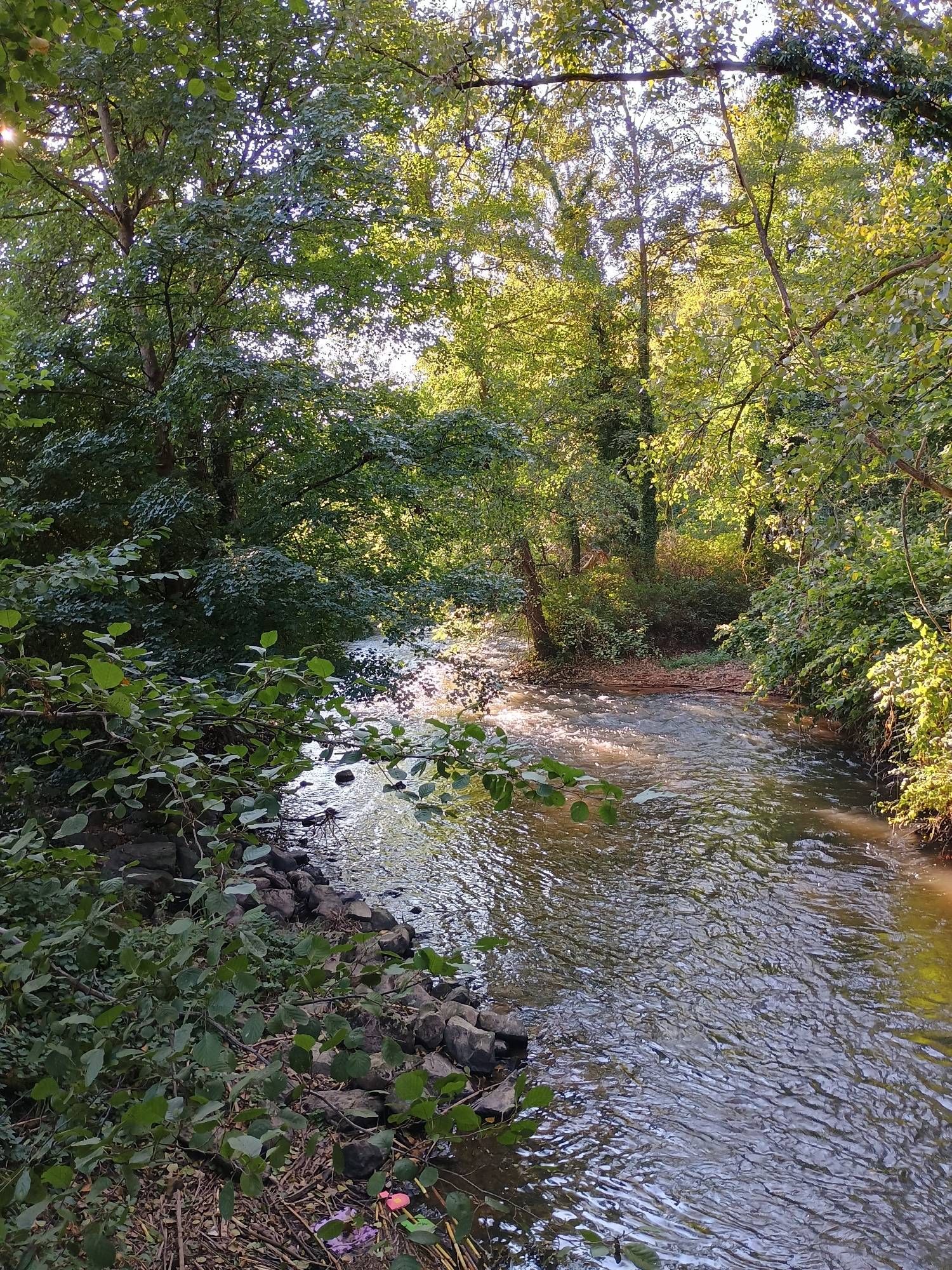 Die Mümling bei Neustadt