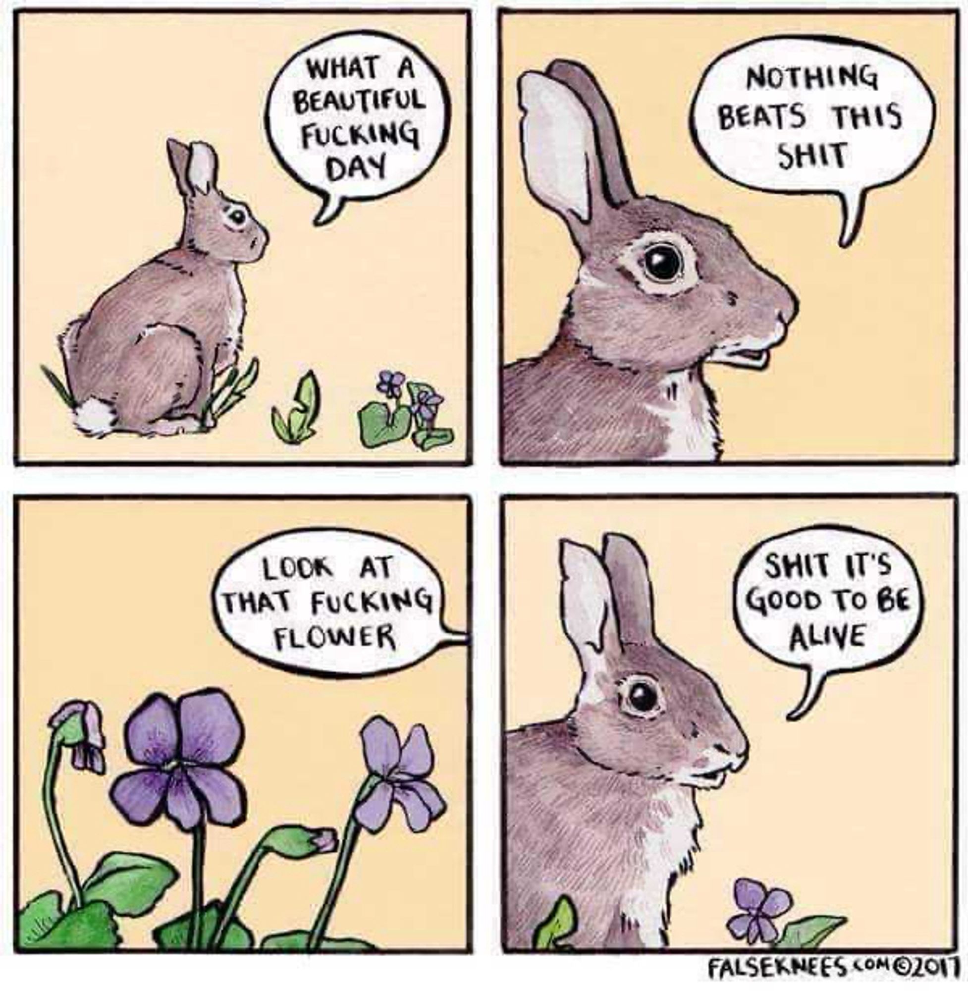 A four-panel comic featuring a profane rabbit and simple background of yellow without any other detail. First panel: the little brown rabbit sits in side view next to some small purple flowers with green leaves and there’s a speech bubble that says WHAT A BEAUTIFUL FUCKING DAY. Second panel: the rabbit is close up in a profile head shot with a speech bubble that says NOTHING BEATS THIS SHIT. Third panel: close-up view of the purple flowers with a speech bubble coming from off screen that says LOOK AT THAT FUCKING FLOWER. Fourth panel: a slightly pulled back view of the rabbit in partial profile with the purple flowers and a speech bubble that says SHIT IT’S GOOD TO BE ALIVE. The whole thing has an air of marveling at life even amidst the shit.