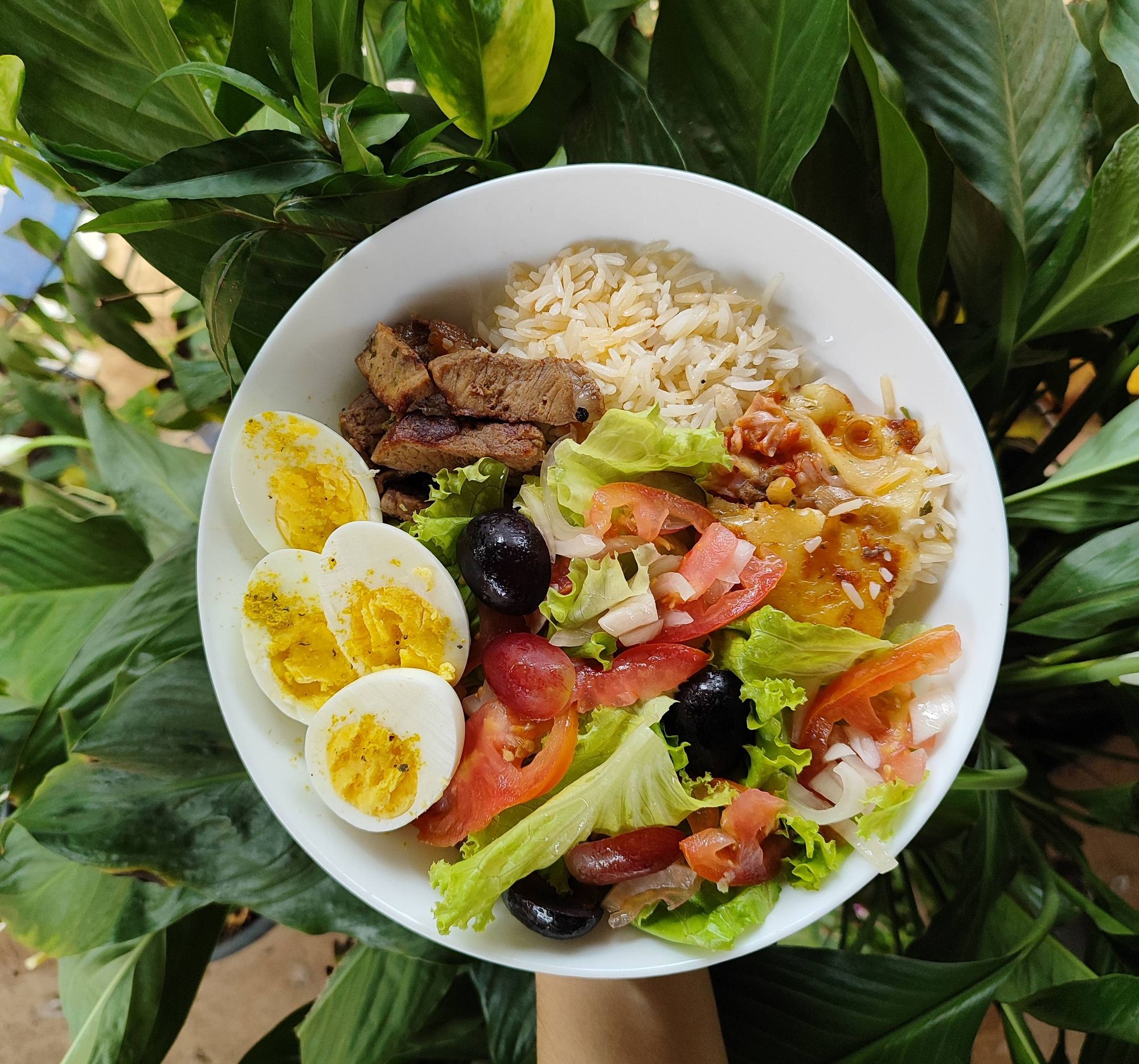 Prato branco com arroz, bife acebolado em tirinhas, pedaço pequeno de lasanha, dois ovos cozidos com lemon pepper e salada de alface com tomate e uvas.