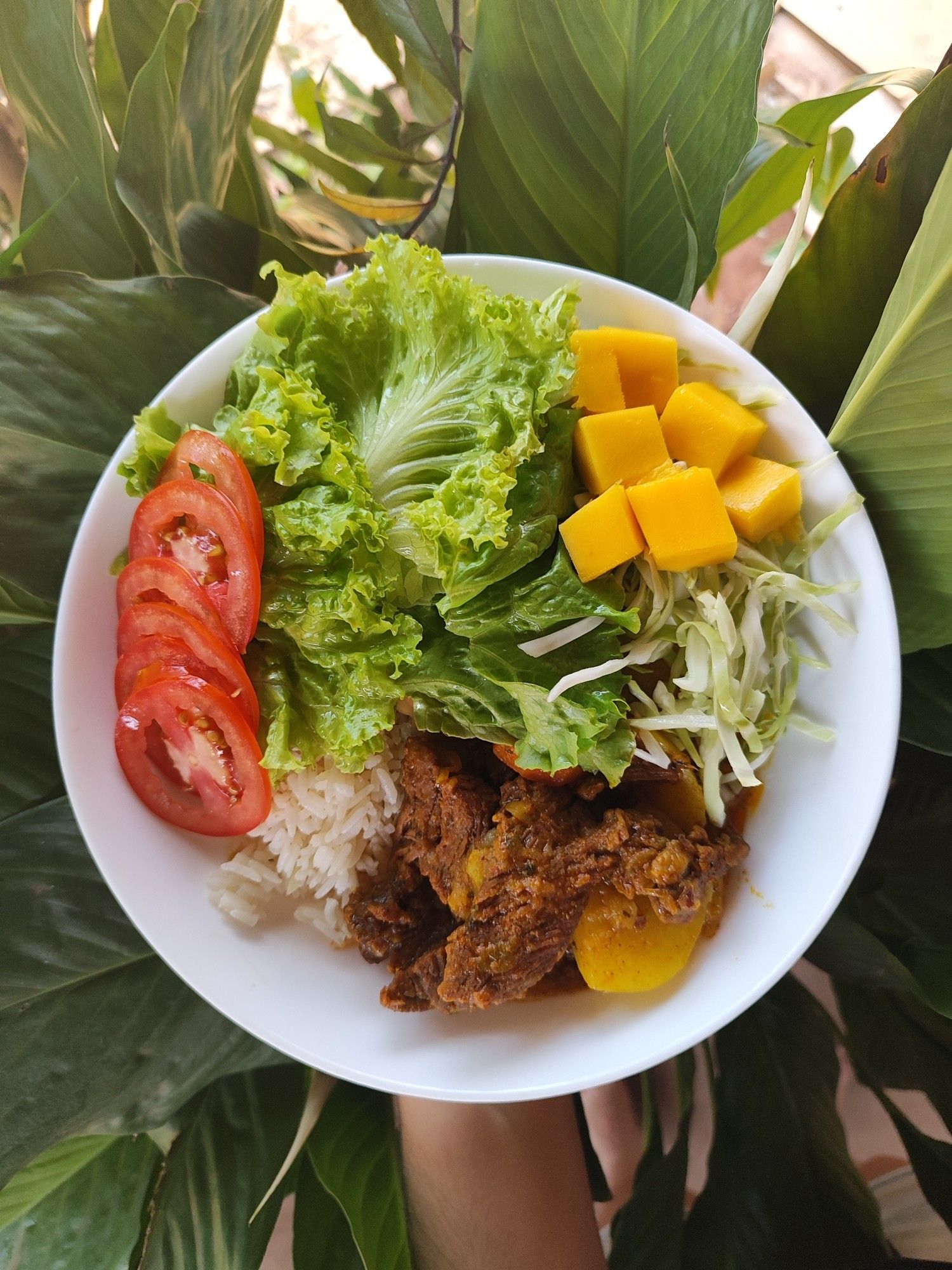 Prato branco com arroz feijão, carne de panela com batatas e cenoura, salada de alface, tomate e manga em cubos.