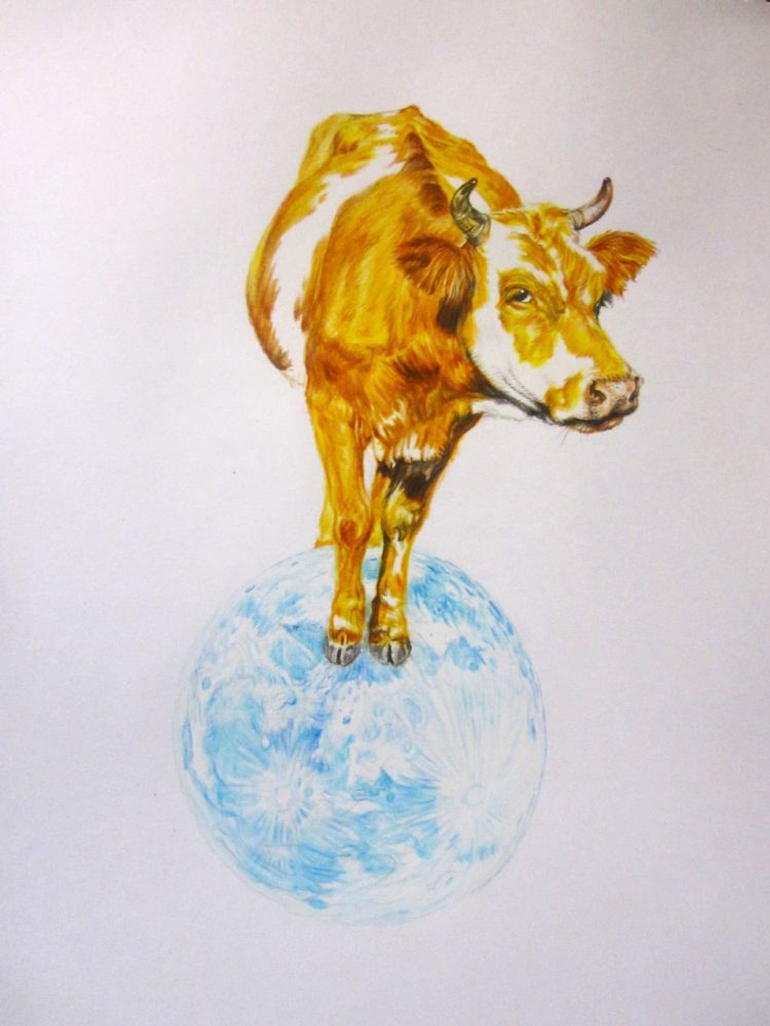 "On", pencil crayon/graphite on paper, 8x10", 2024- $250 (Cdn). A colour drawing of a brown & white cow standing on a blue moon.