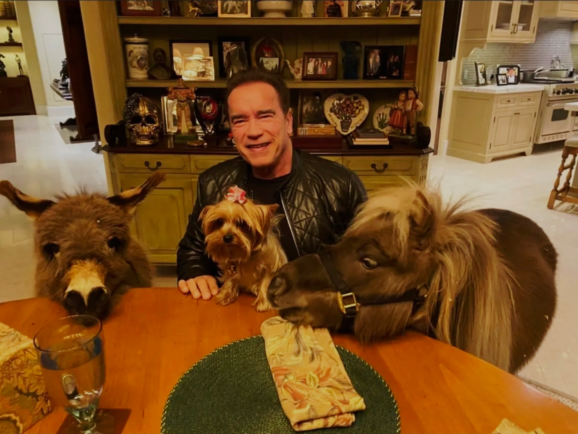 Arnold Schwarzenegger assis à une table, entouré d'un âne, un yorkshire et un poney. 