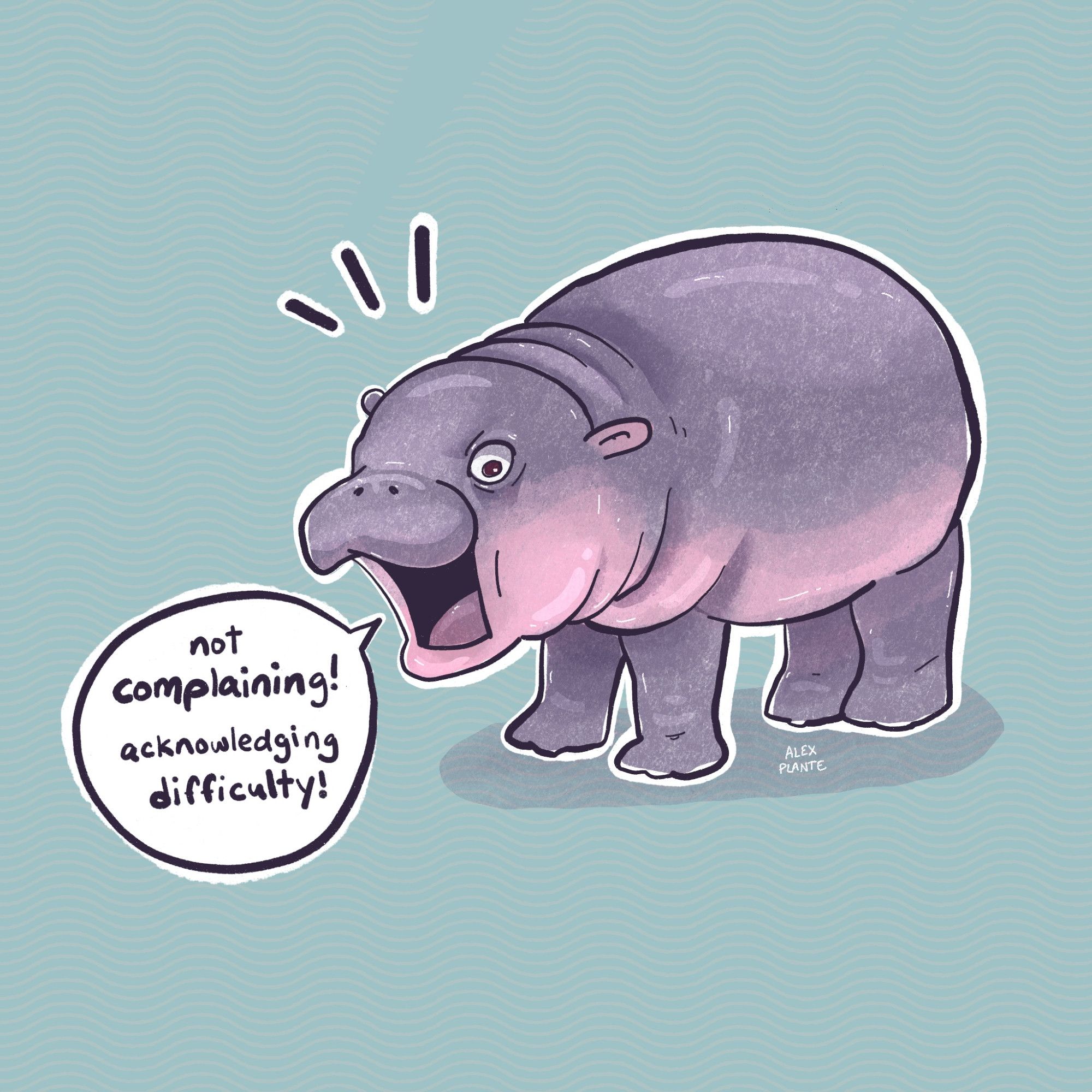 a drawing of moo deng sensational superstar baby hippo looking distressed and shouting "not complaining! acknowledging difficulty!"