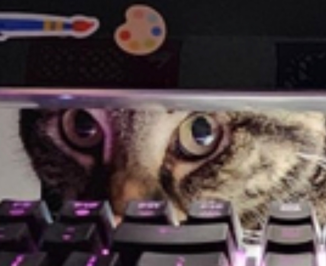 a cats eyes peeking out from behind the monitor