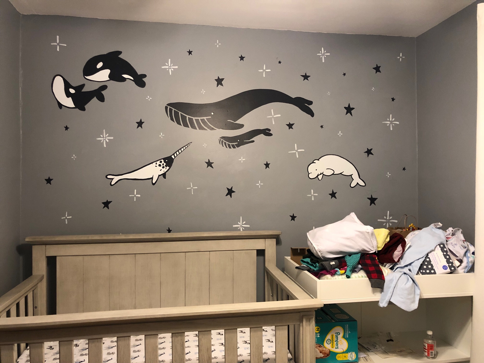 a grey wall with various whales painted in black and white, simple shapes, swimming through stars. two orcas, a narwhal, two blue whales, and a beluga. they are all painted on the top half of the wall, above the crib and change table