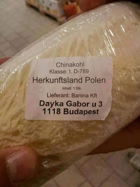 Ein in Folie verpackter China mit einem Aufkleber: Chinakohl, Herkunftsland Polen, Lieferant: Banina Kft,  Dayka Gabor u3 1118 Budapest