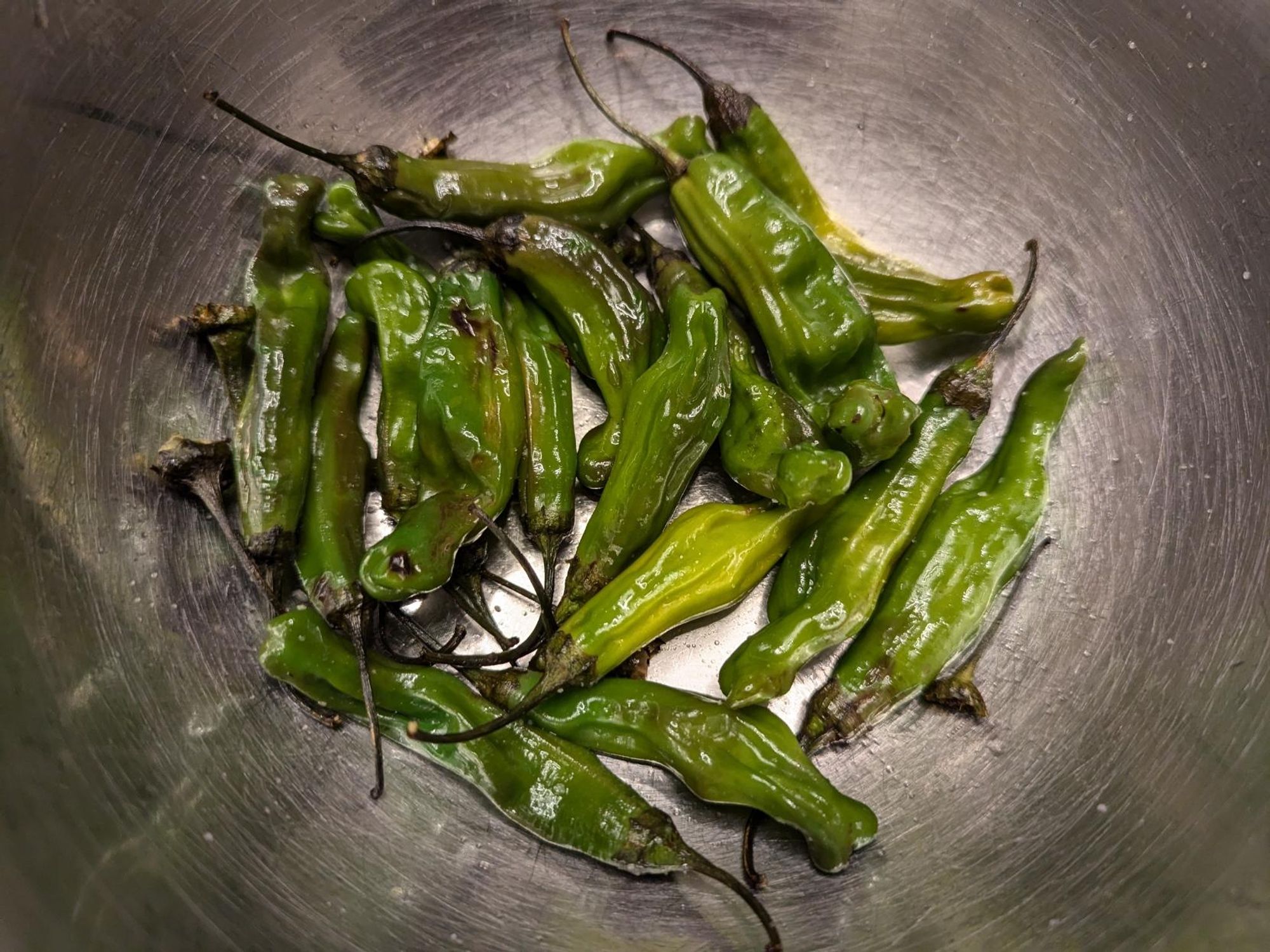 Sauteed shishitos with a sheen of oil in a steel pan