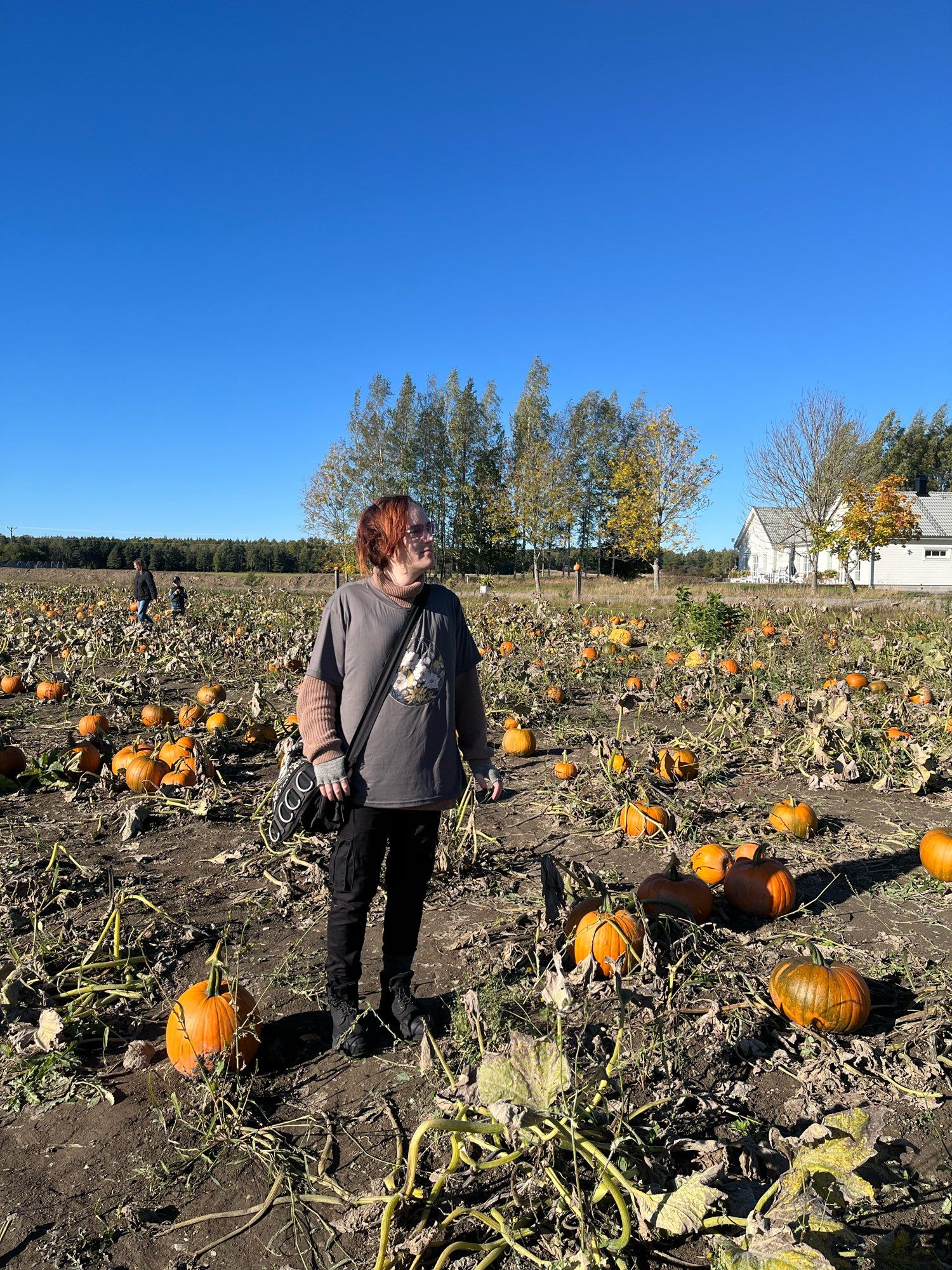 A person standing in a field with pumpkins