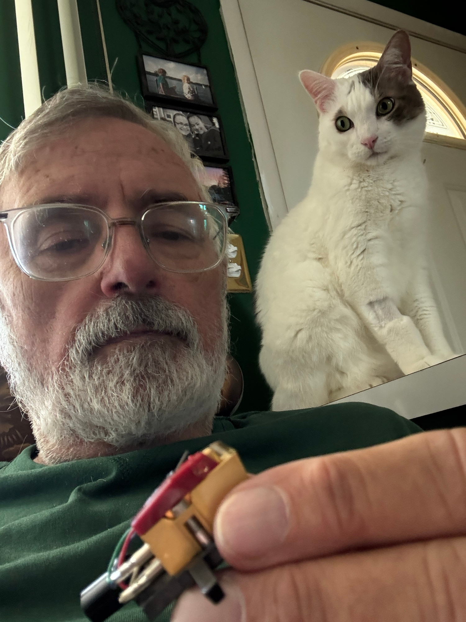 Man looking at a phonograph record needle as a white cat looks over his shoulder.