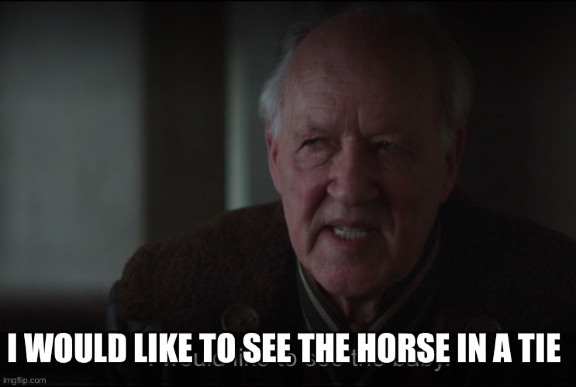 Werner Herzog in the memetic scene from The Mandalorian where he says “I would like to see the baby.” The image is captioned “I would like to see the horse in a tie.”