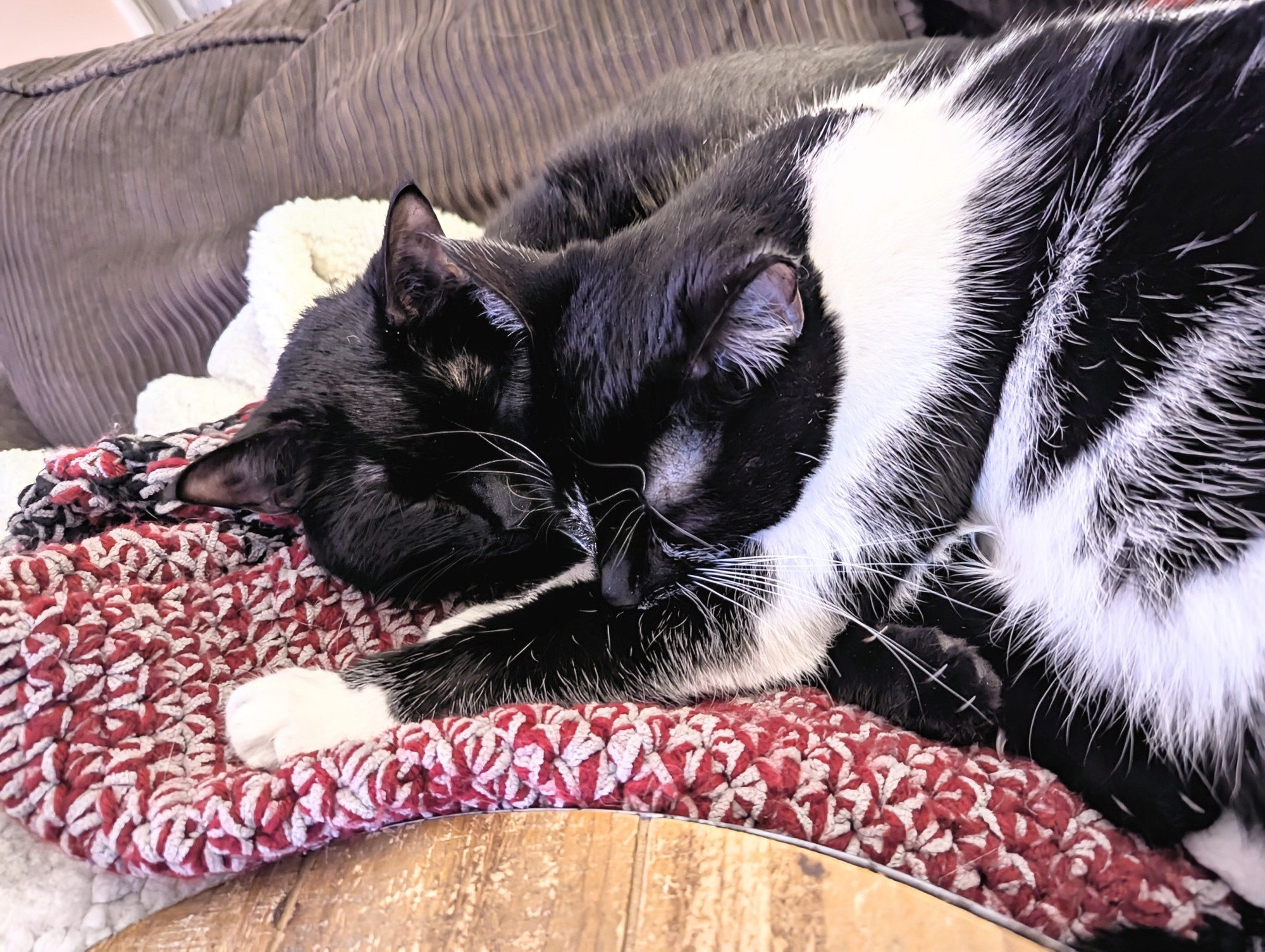 Black and white cat snuggling with a black cat on a red , gray & black crochet blanket on a brown corduroy sofa with a round wooden table in front