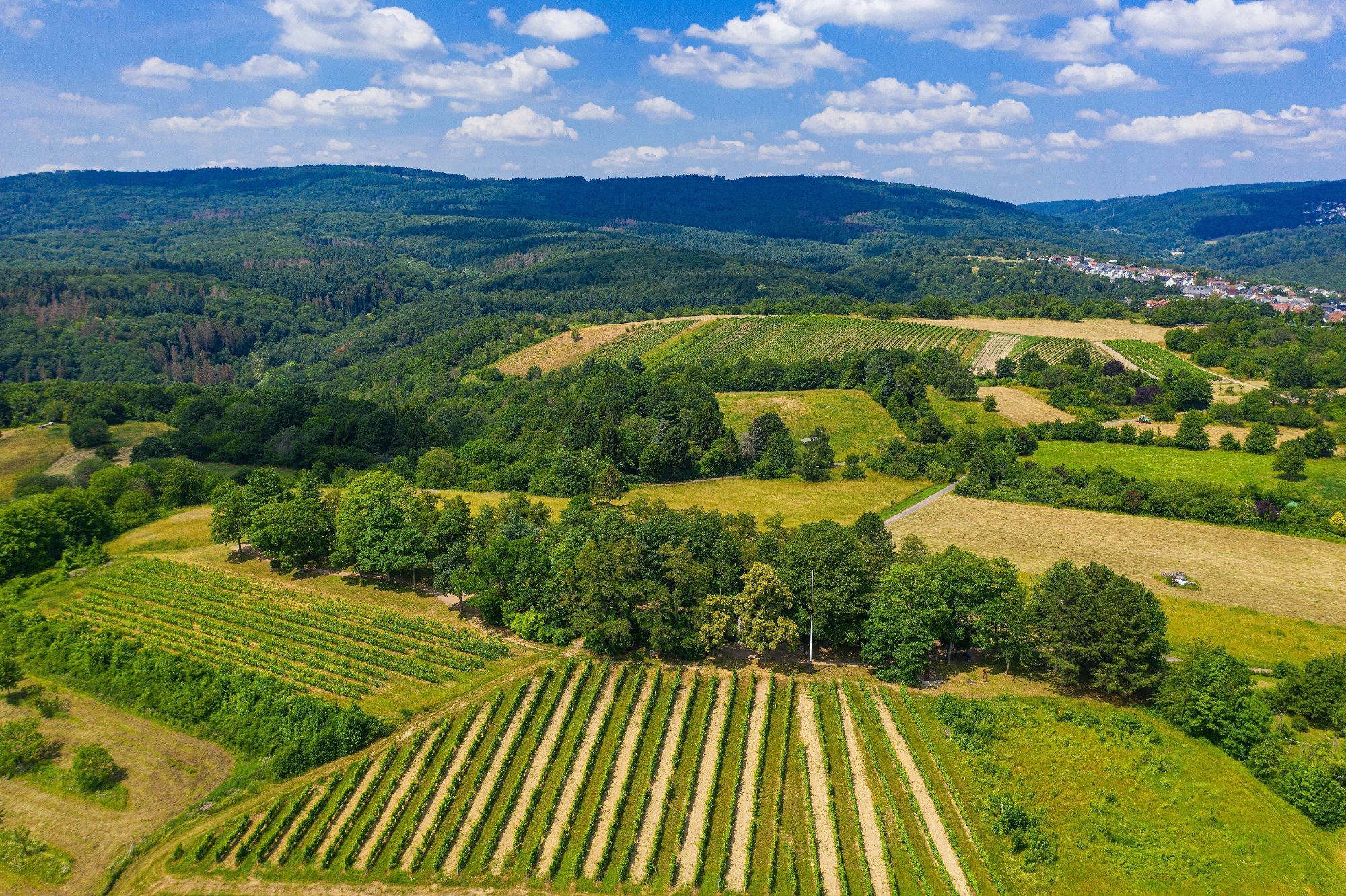 Fields, trees and hills in the background