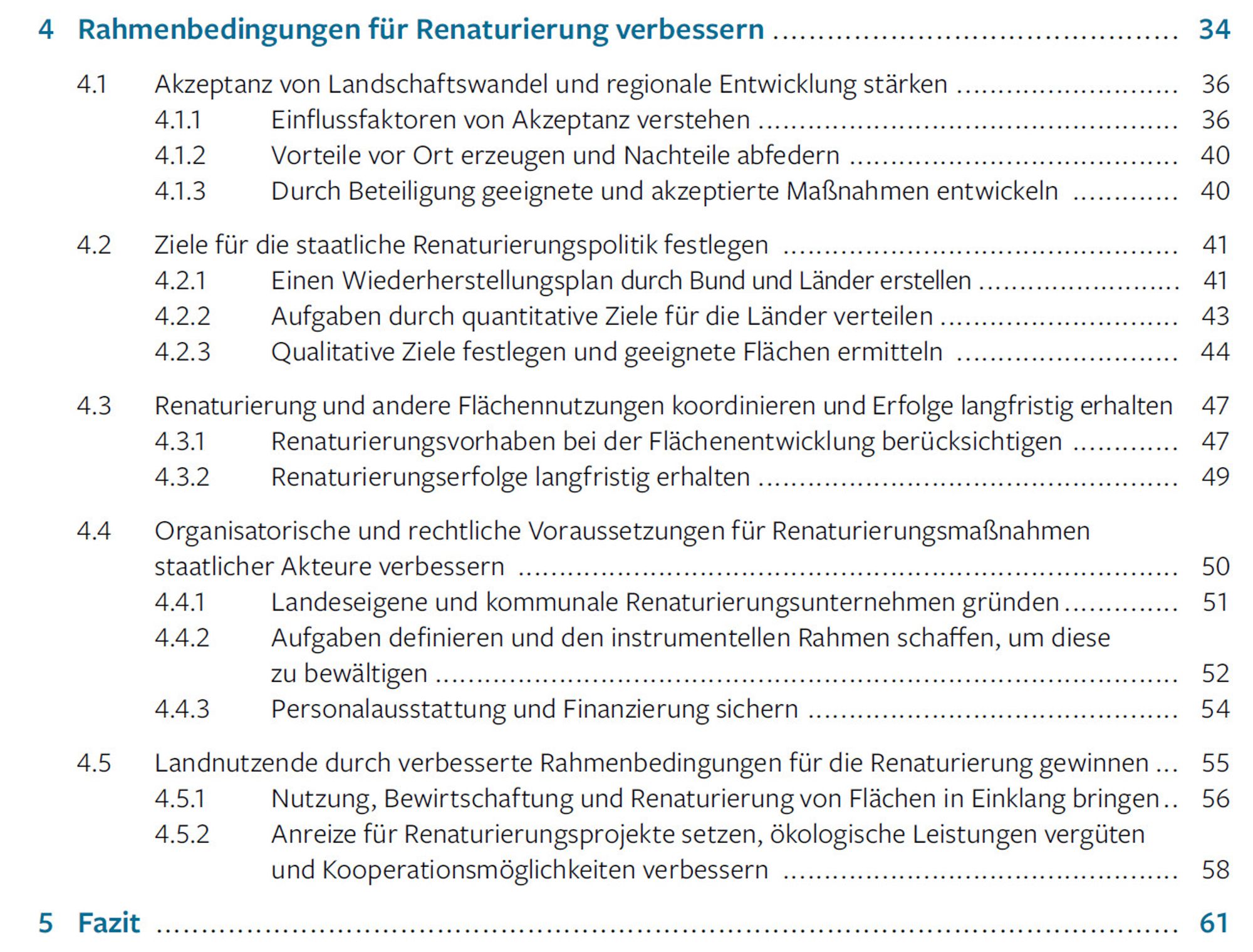 Screenshot Inhaltsverzeichnis Kapitel 4 "Rahmenbedingungen für Renaturierung verbessern"