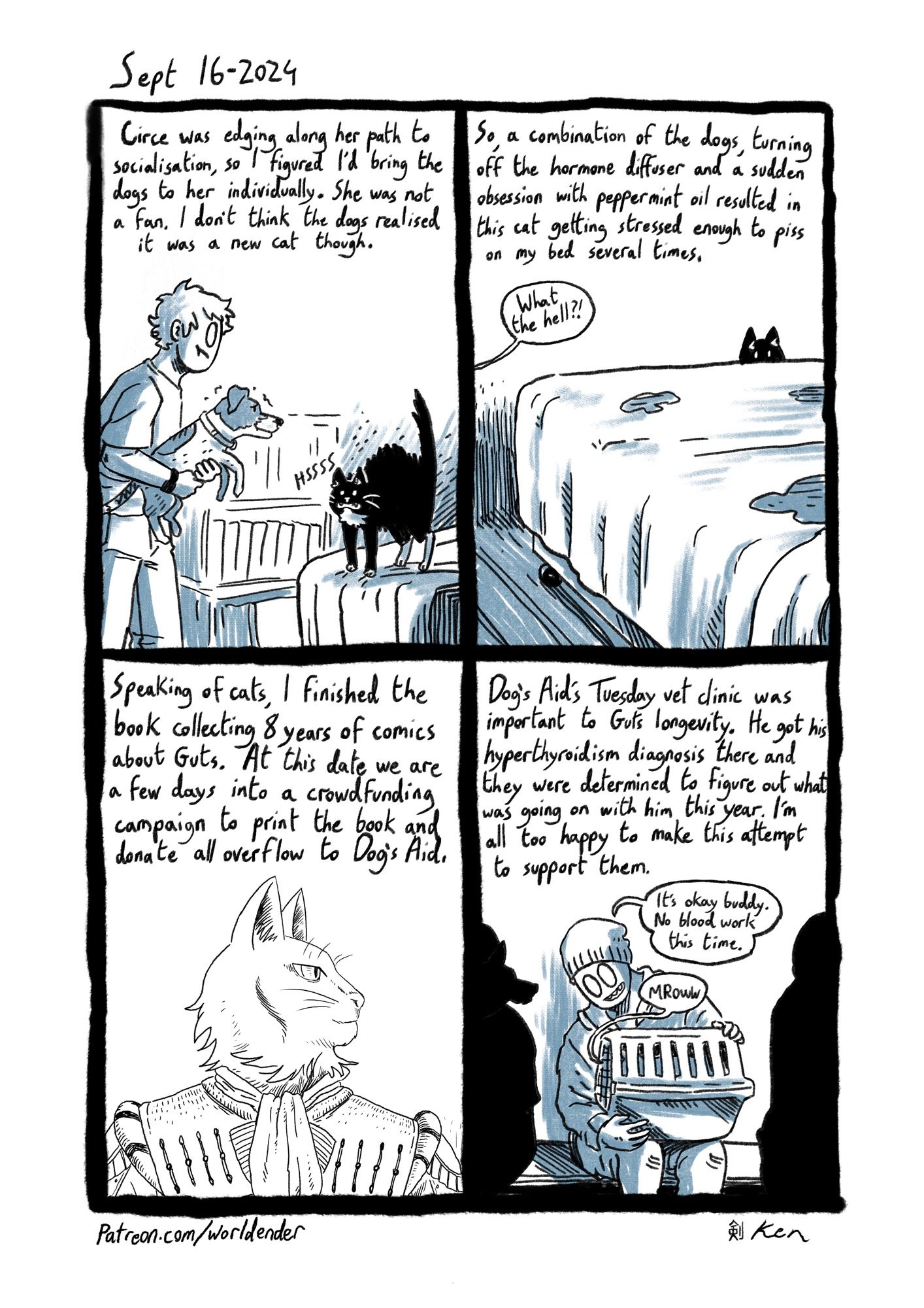 September 16 2024
Circe was introduced to the dogs this week and was not a fan, to the point where she pissed in Ken’s bed three times.
Speaking of cats, Ken finished a book collecting eight years of comics about Guts and decided to do a charity fundraiser to fund the printing and have all overflow go to Dog’s Aid. Their clinic was instrumental in keeping Guts going for nearly half his life and Ken just wants to give back to them.